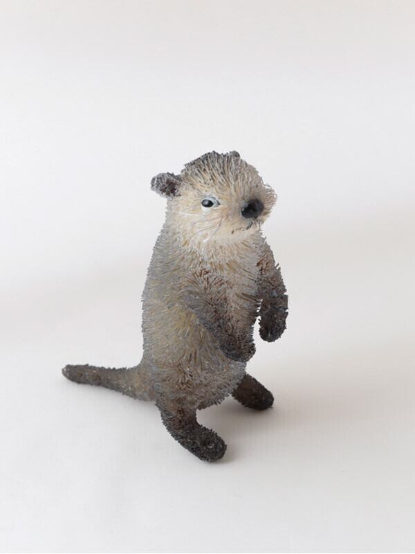 コツメカワウソ