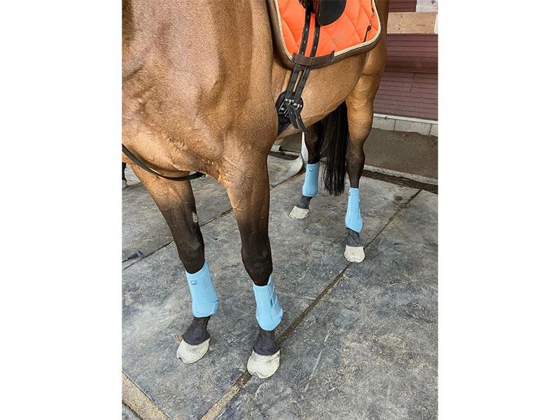 お客様からも可愛いお写真届きました😍