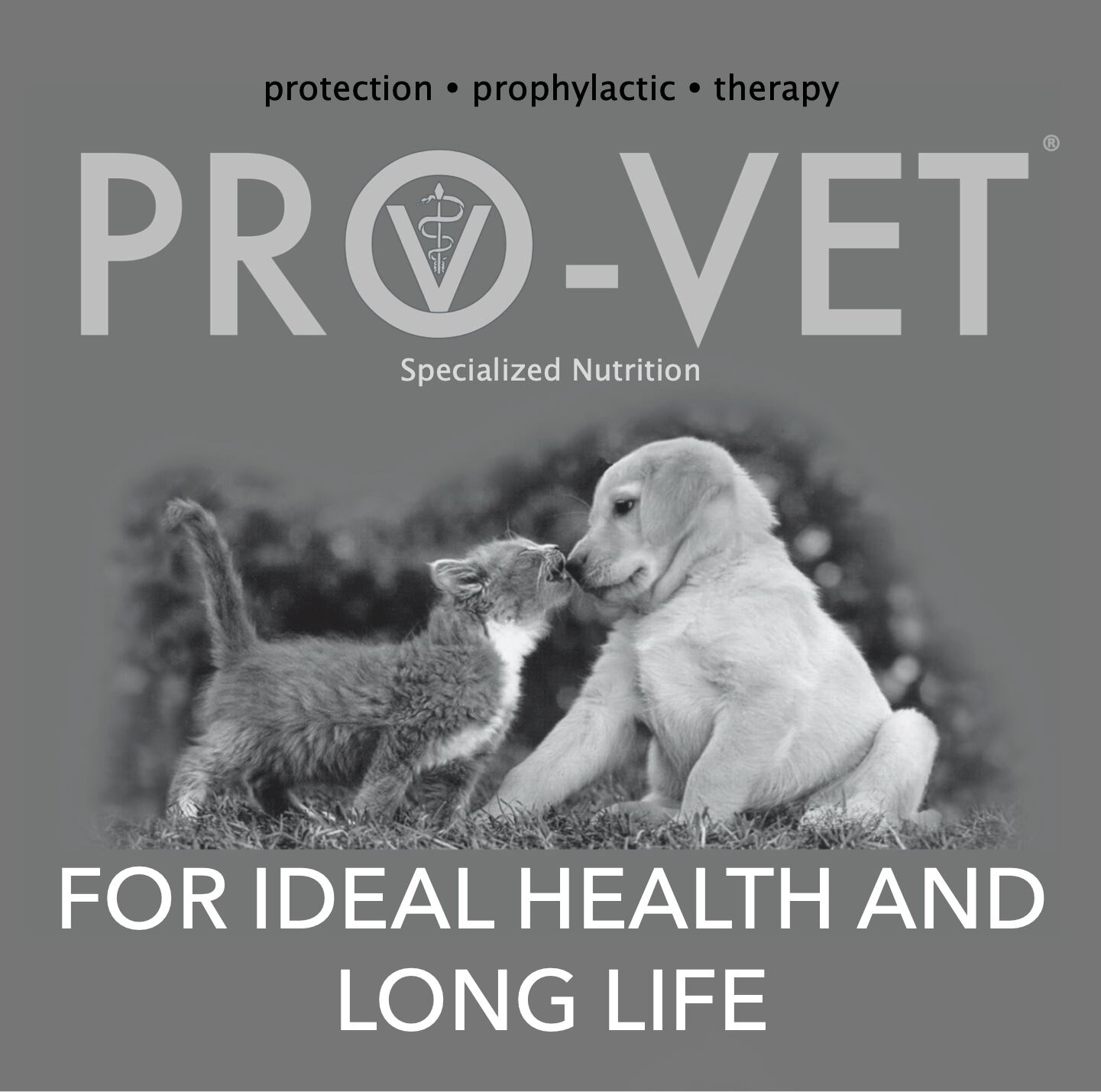 犬・PRO-VETへパティック/肝臓 尿酸結石3㎏ プレミアム療法食/肝不全