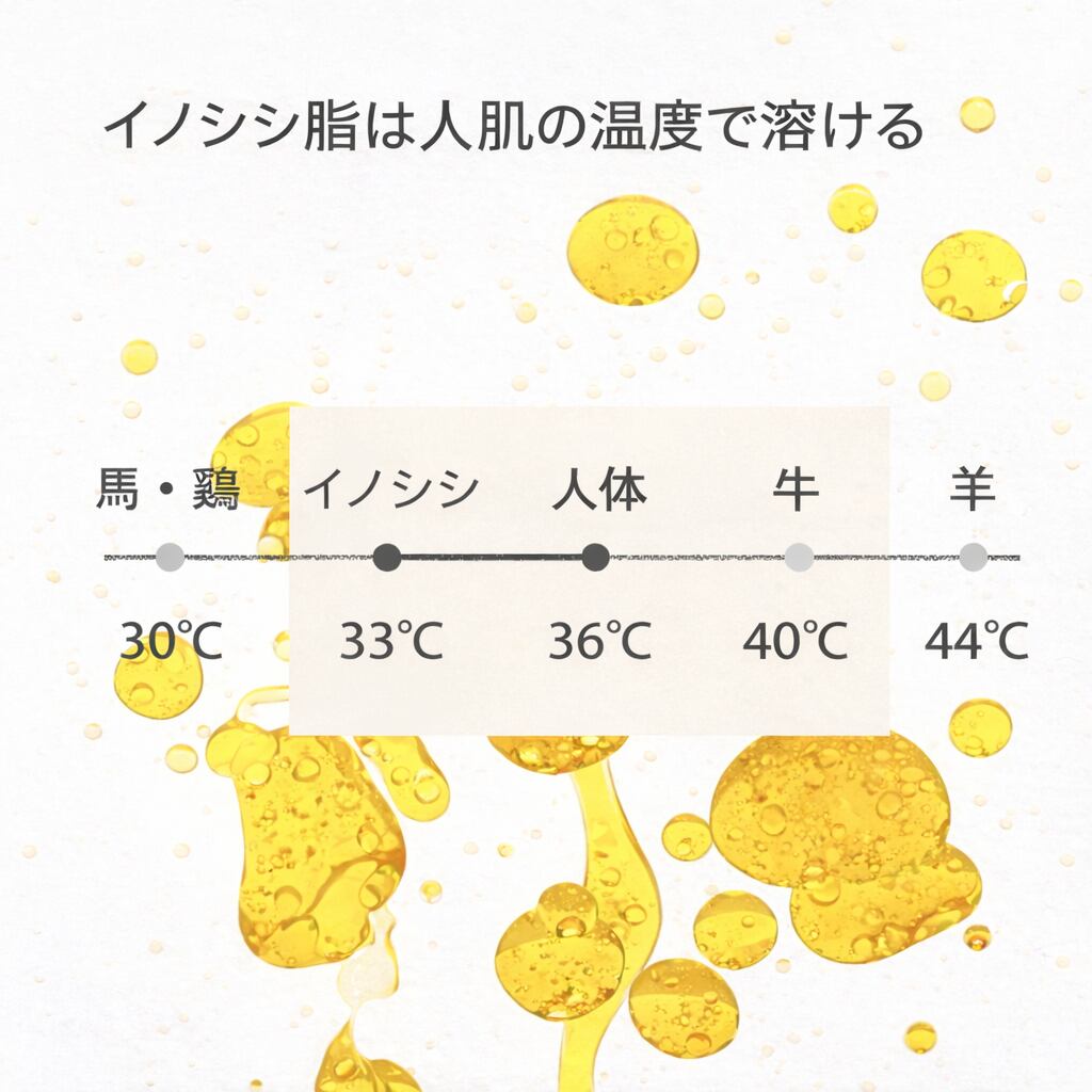 イノシシオイル融点