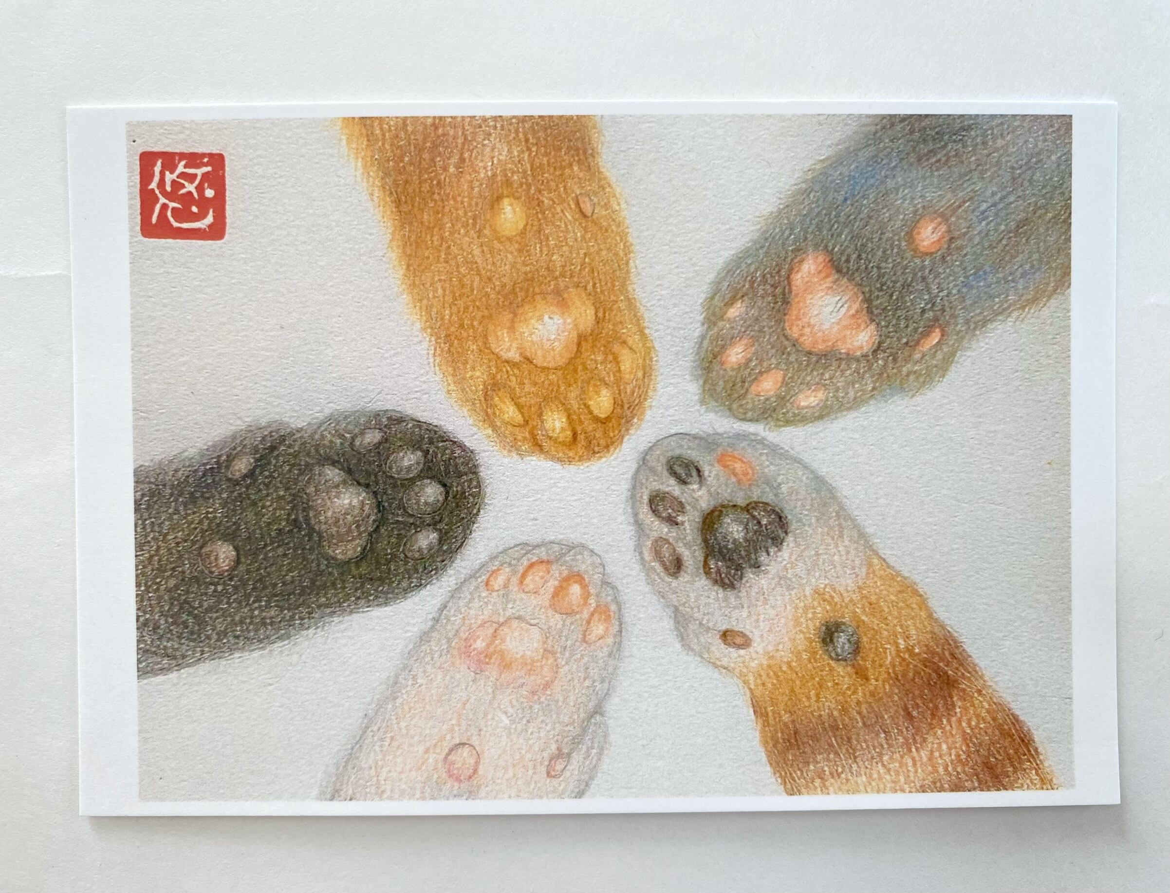 にゃんけんぽん