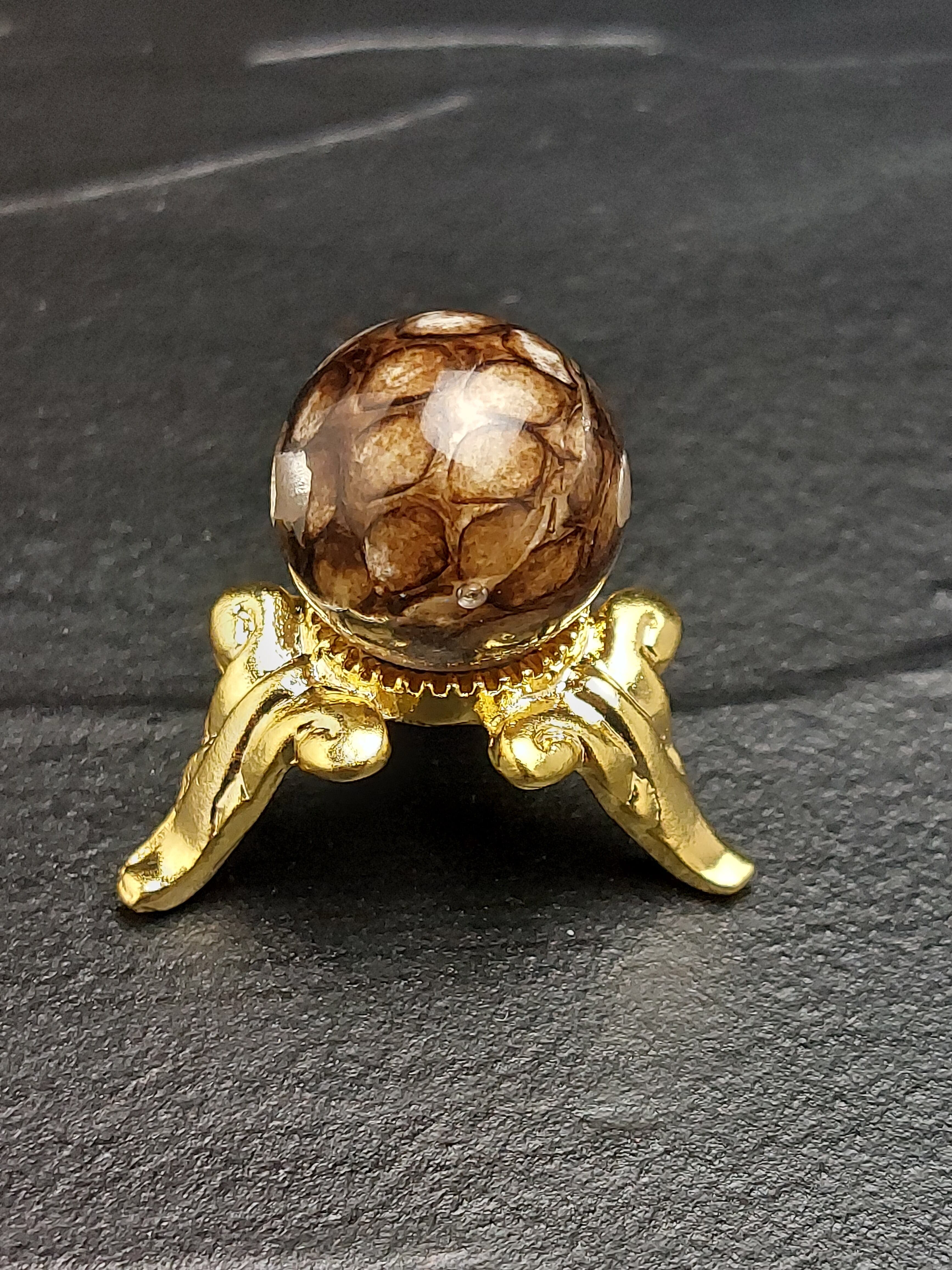 ハブ(蛇)皮は縁起がいいとされ、特に金運アップの効果が一番高いと言われています。