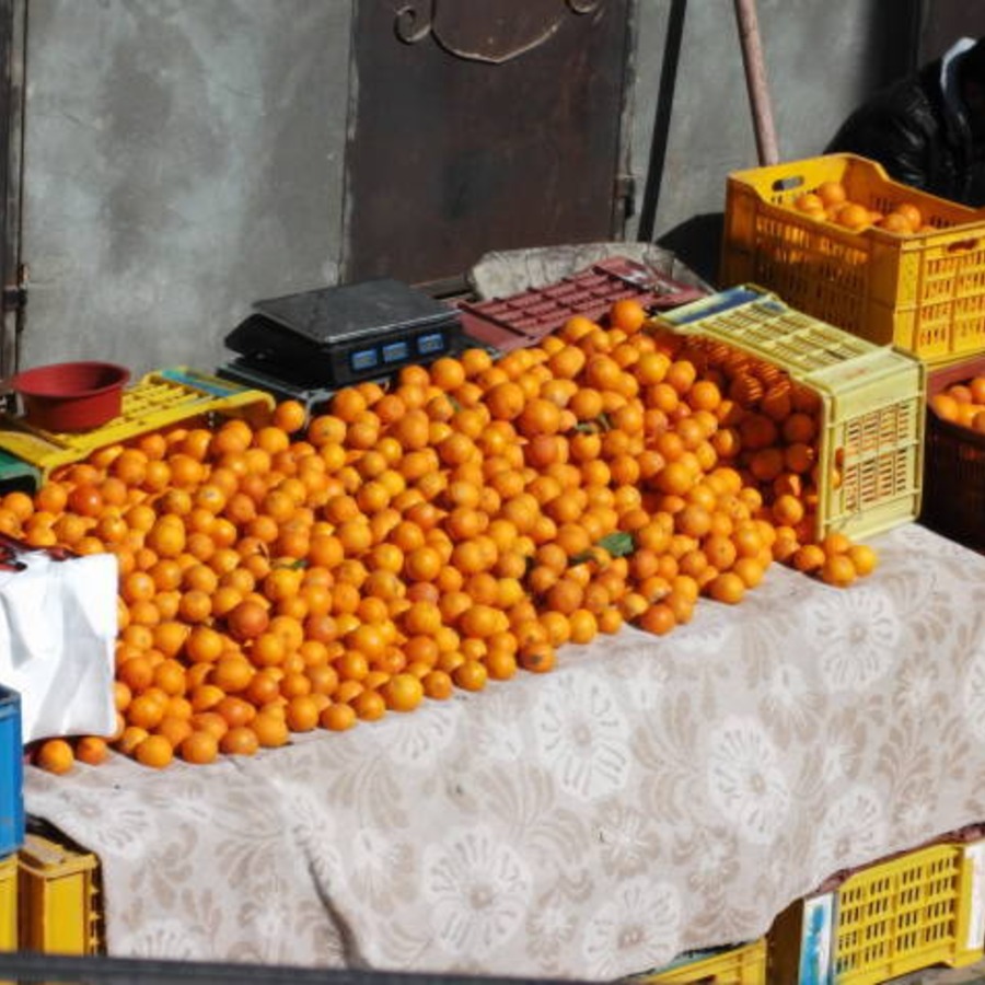 チュニジアのおすすめ果実オレンジ