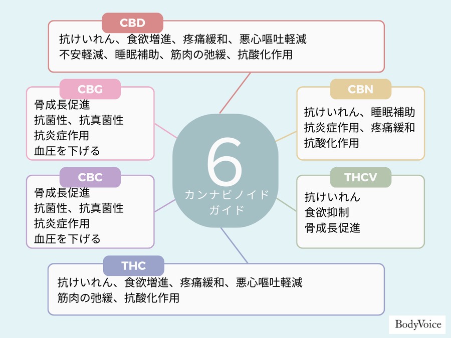 CBNカプセル 2袋