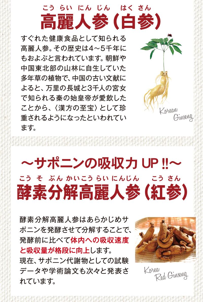 気元人参 720ml 凝縮された3種の人参の力がたっぷり 高麗人参エキス