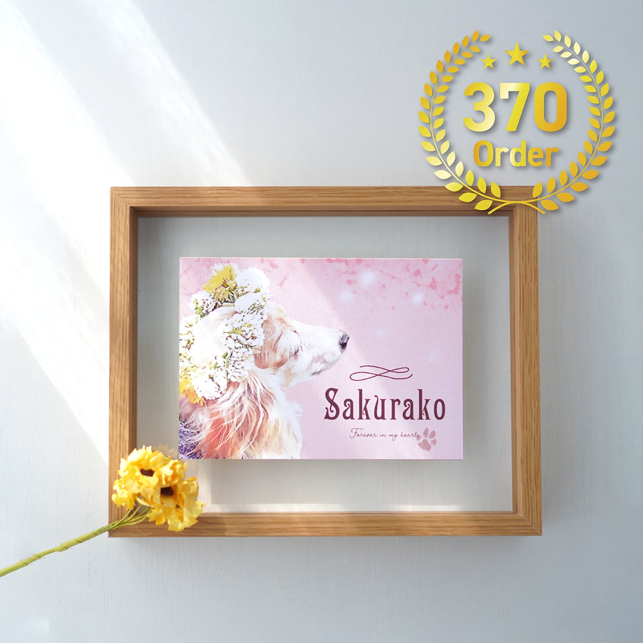 img_7f3f49c44df4ae6d41a34651e7