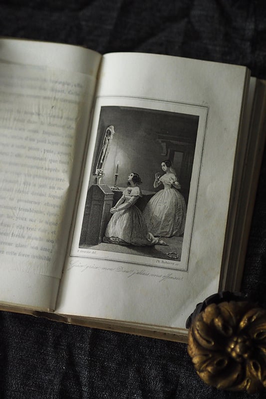 絢爛たる古書-antique french book | アンティーク.ヴィンテージ家具