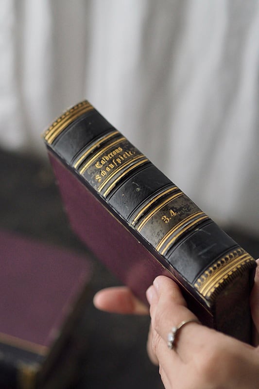 ドイツ古書、重厚な背を並べる-antique german book