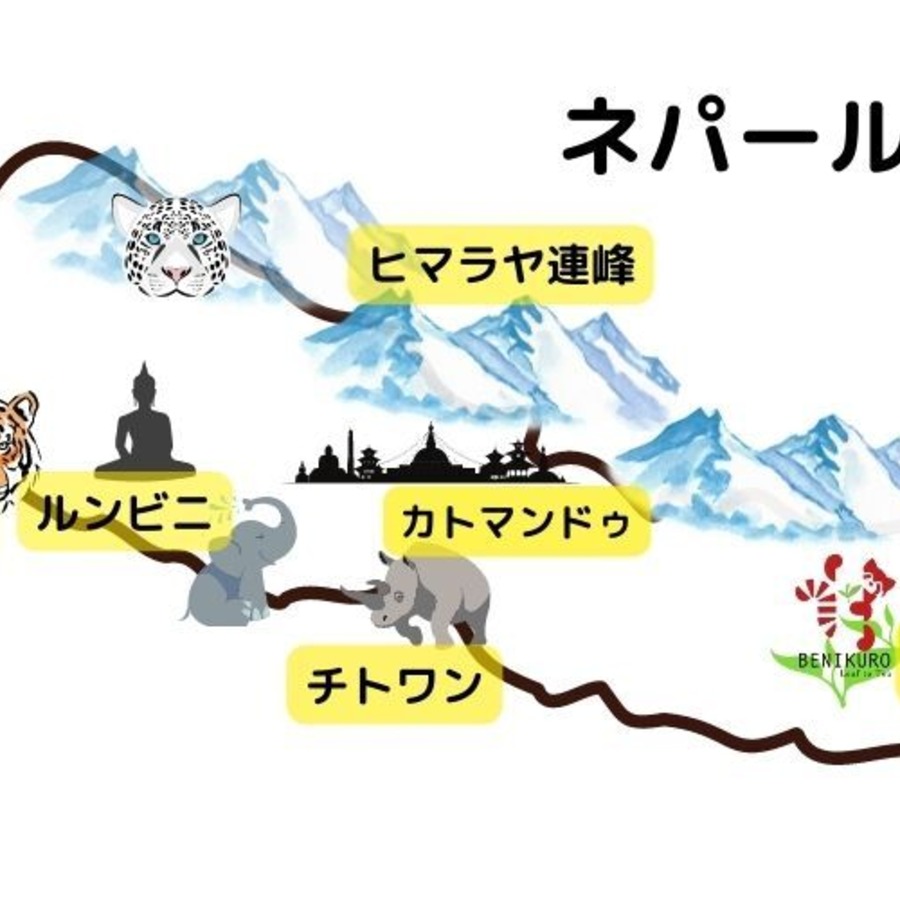 紅茶とエベレスト、数々の世界遺産、希少な野生動物。ネパールは魅力いっぱいのユニークな国。