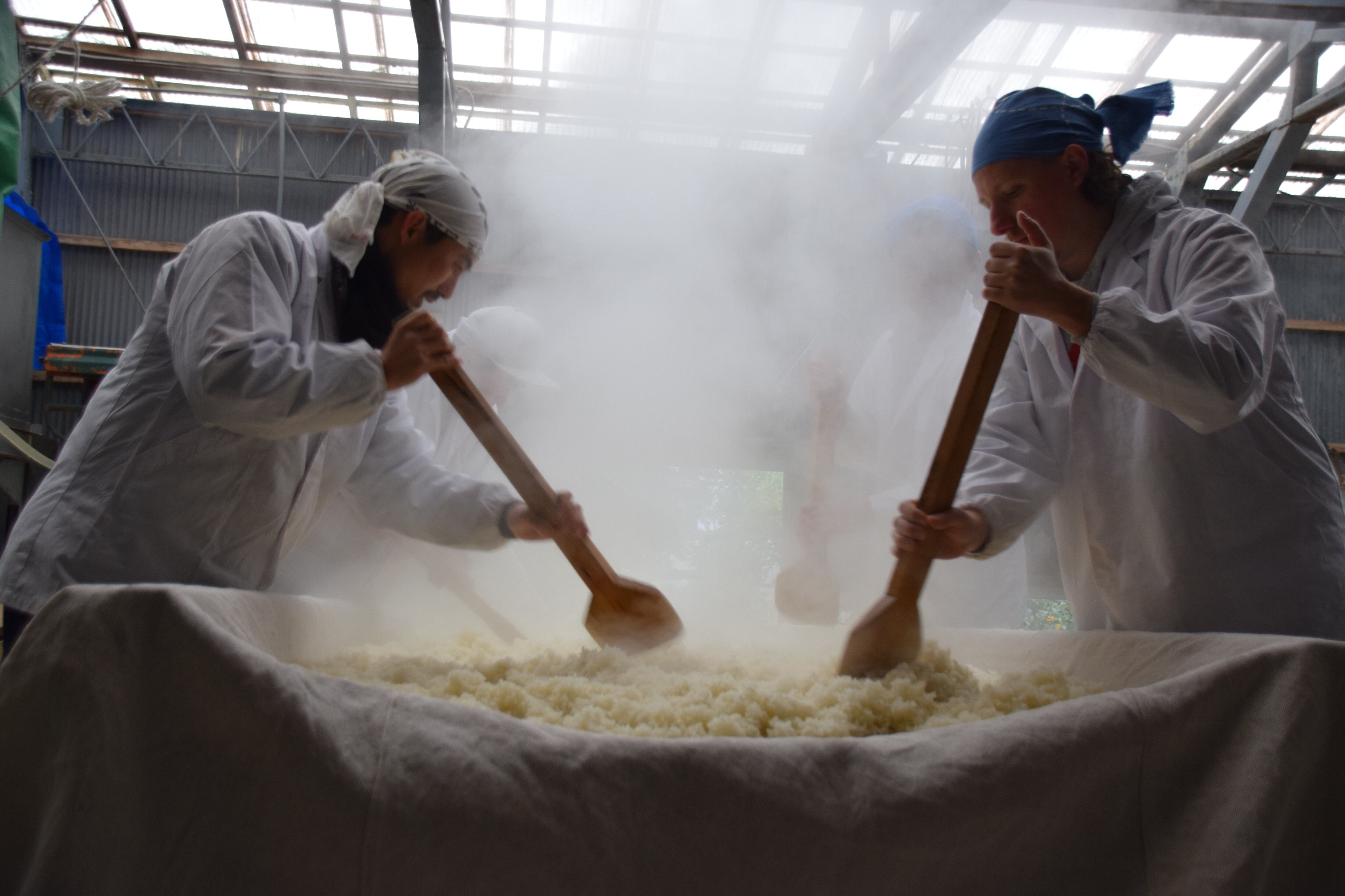 photo credit goes to shoh