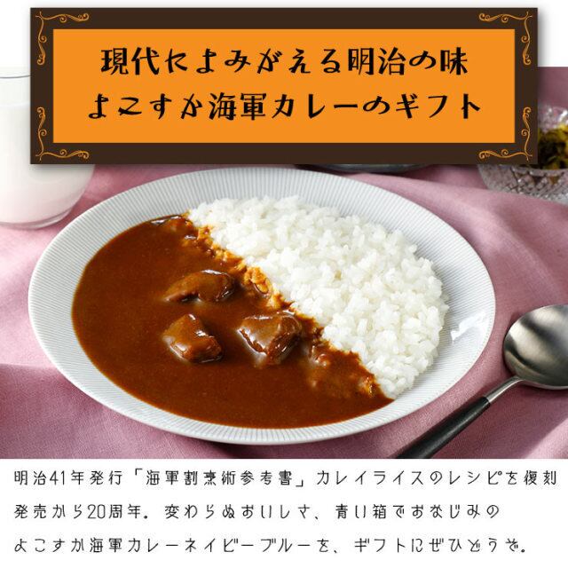 よこすか海軍カレー ネイビーブルー | 横須賀市観光協会お土産
