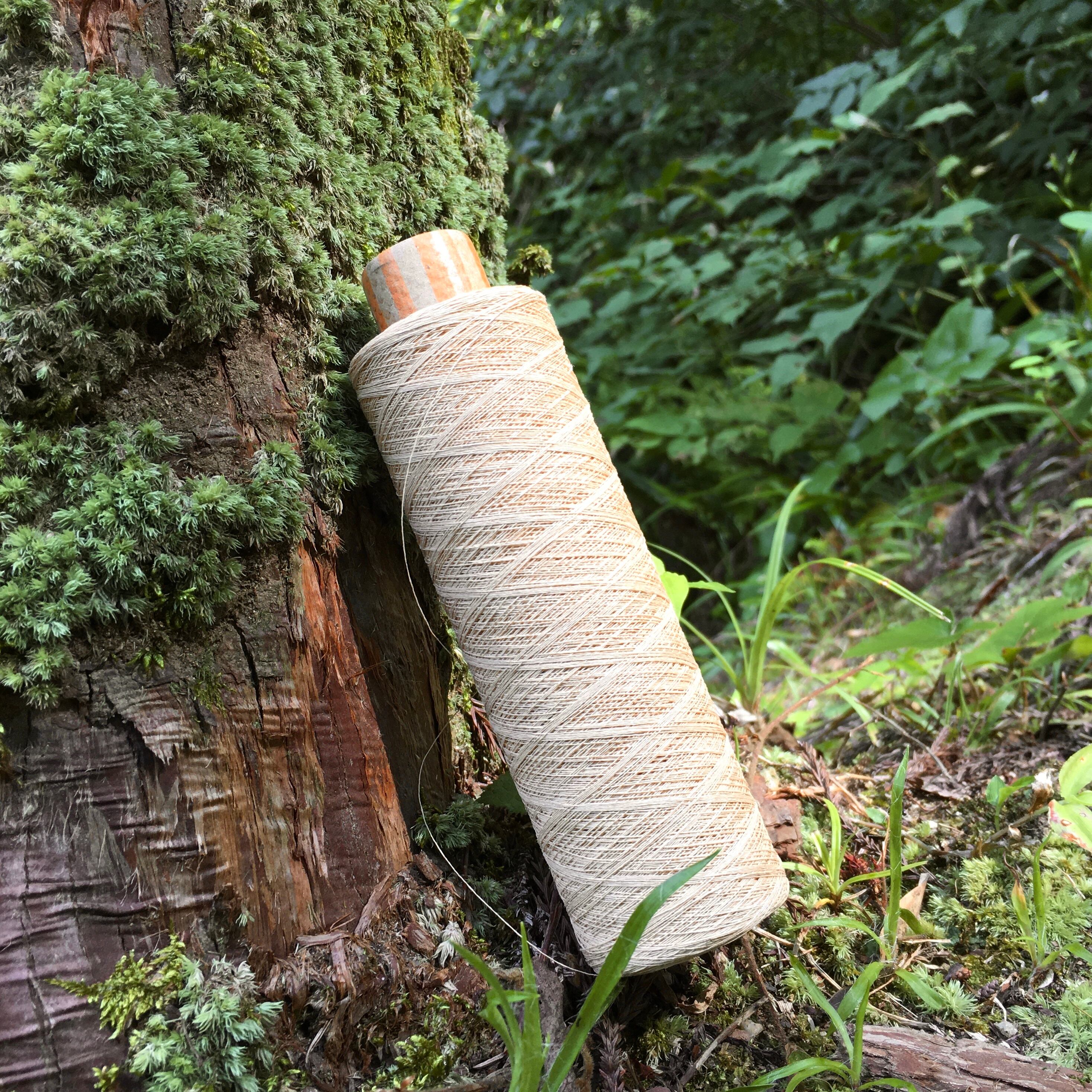 🌿 木糸（もくいと） 🌿