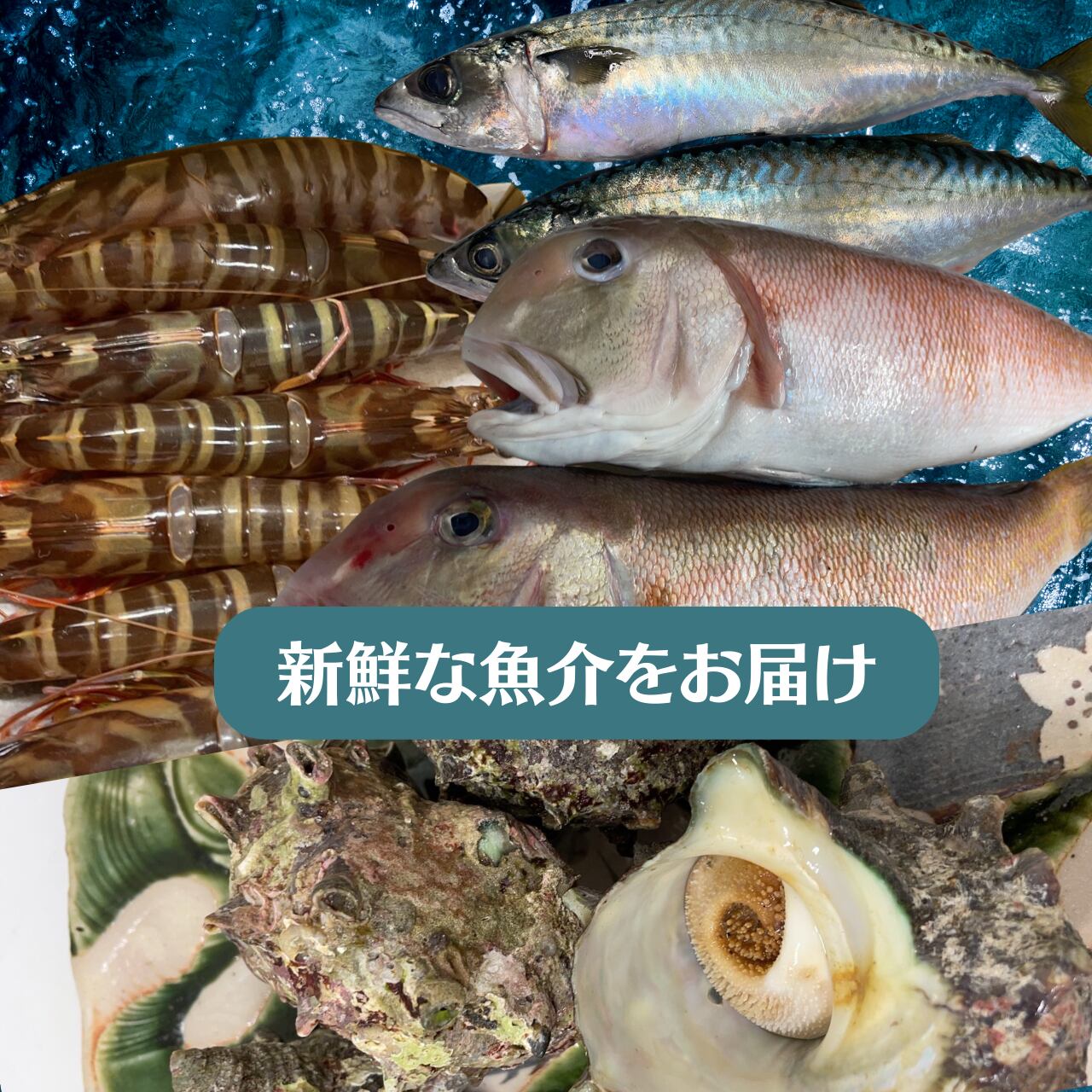 新鮮なお魚をあなたの食卓へお届けします