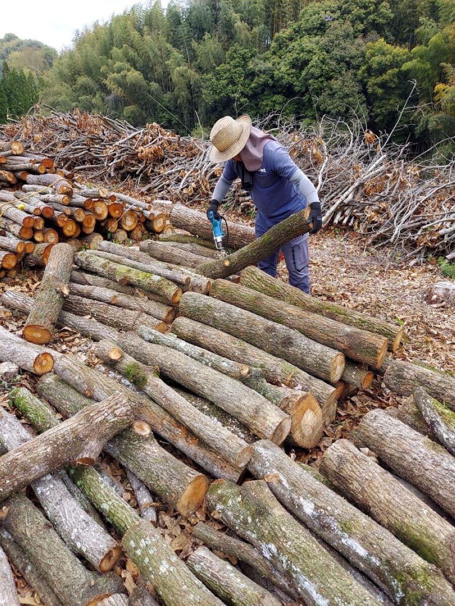しいたけ種駒うち作業準備のようす