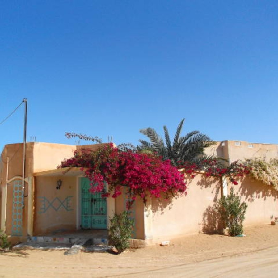 乾いた町にも咲き誇るブーゲンビリア