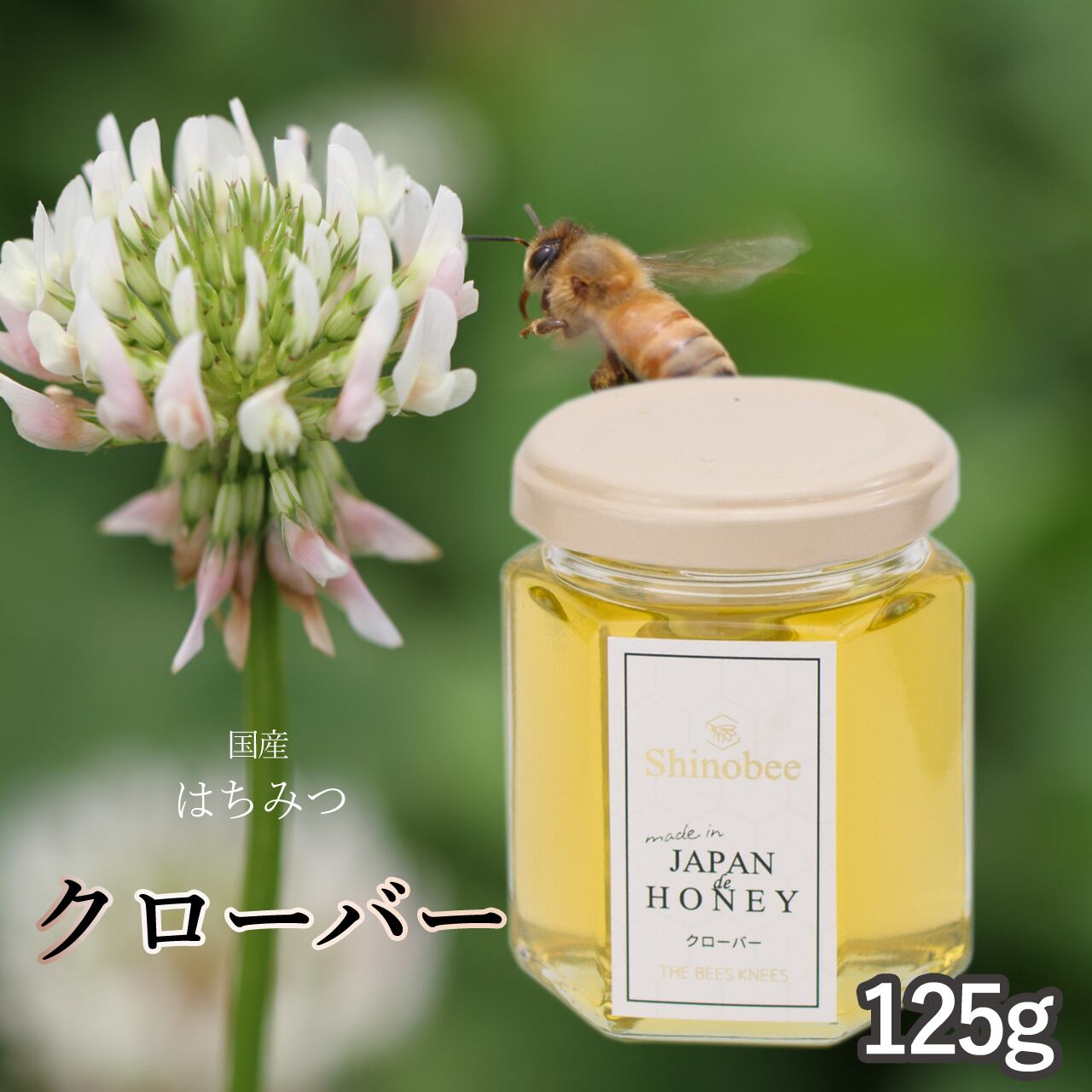 しるびあ】日本ミツバチ生はちみつ 200g×6本 しるびあ】日本