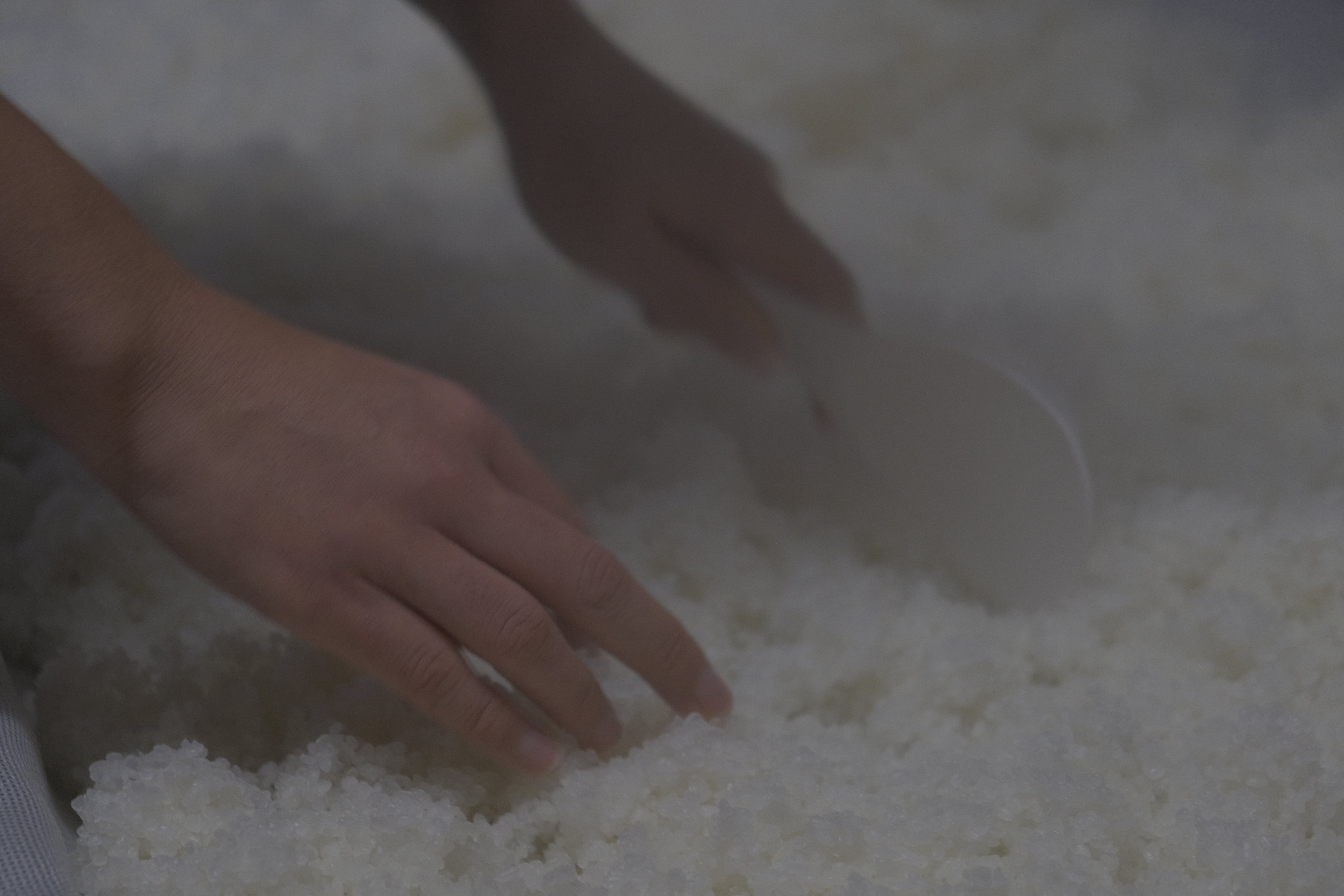 蒸米をほぐす作業