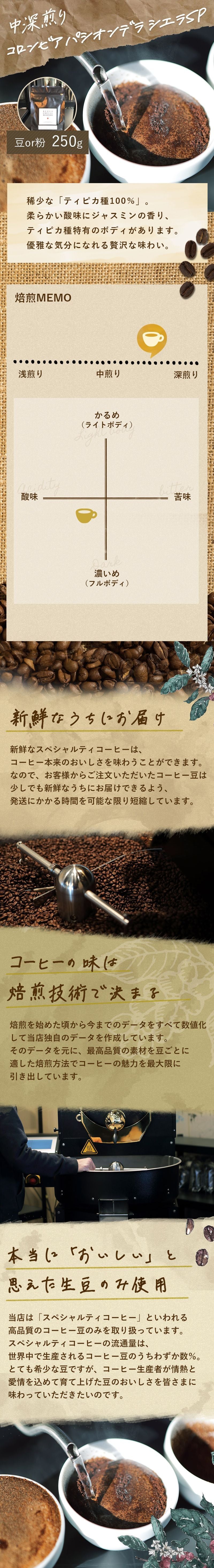 中深煎り】コロンビア パシオンデラ シエラ SP 250g | BESSO COFFEE