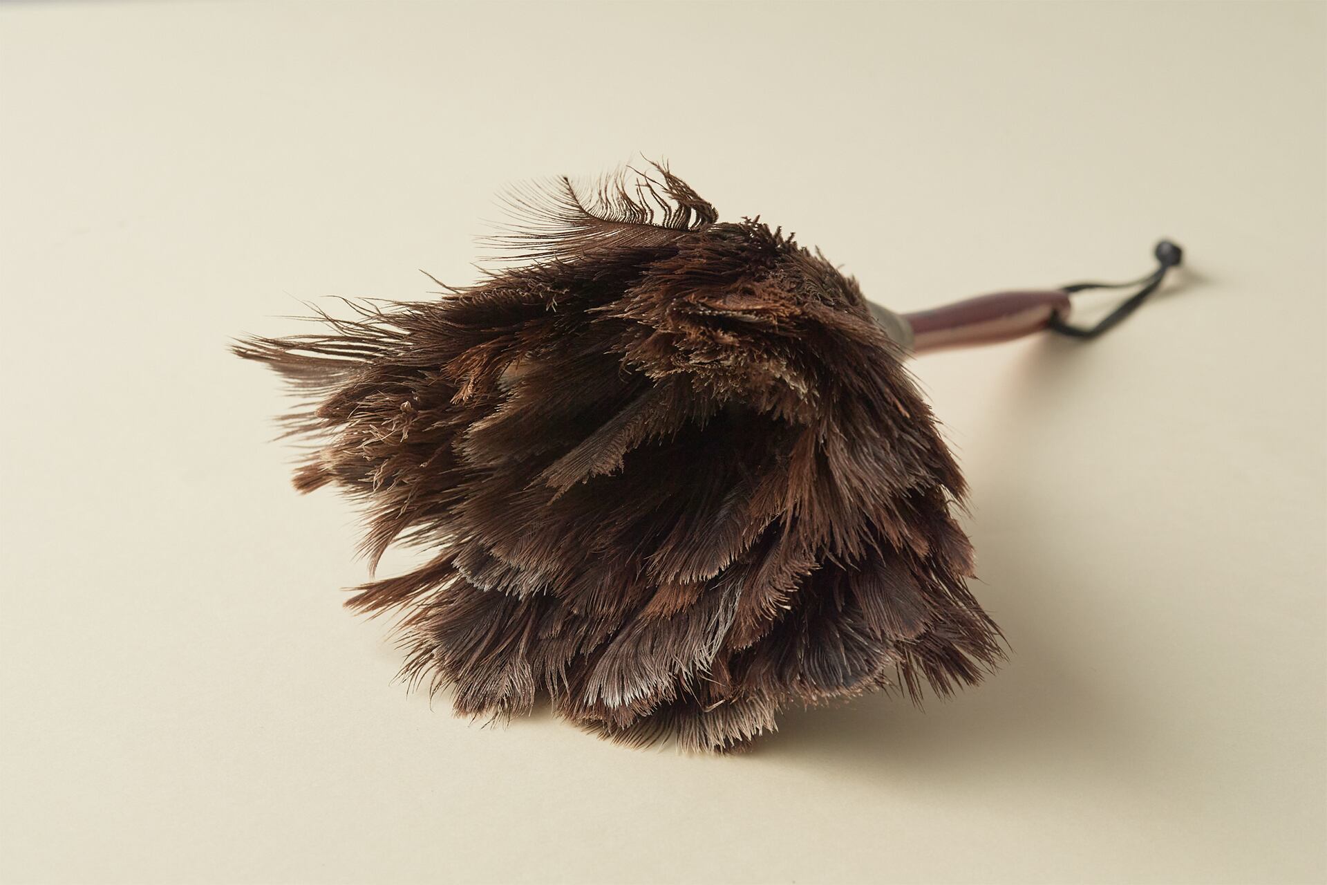 レデッカーの掃除道具「オーストリッチブラシ」 | 天然生活 ONLINE SHOP