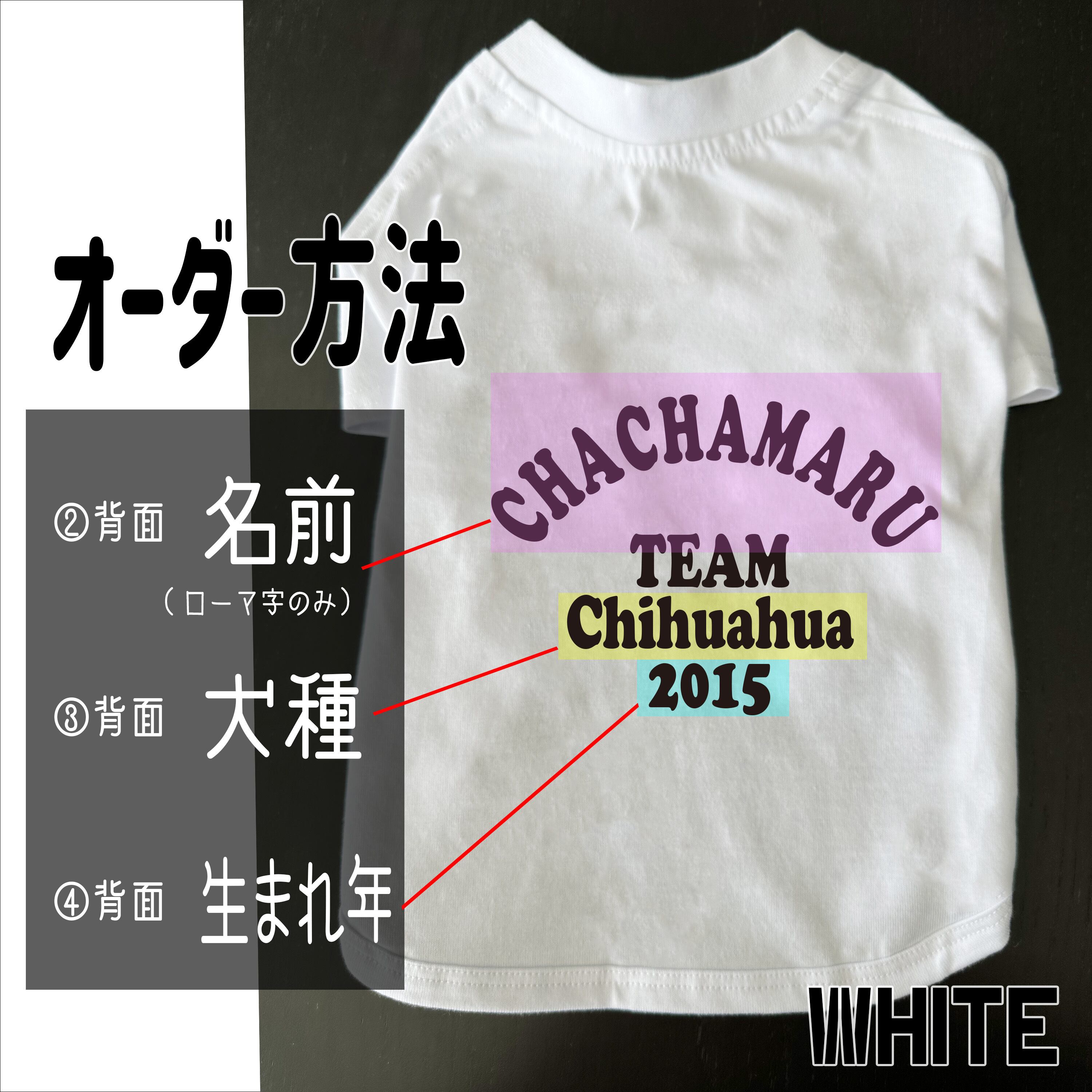 【背面】 お名前・犬種・生まれ年