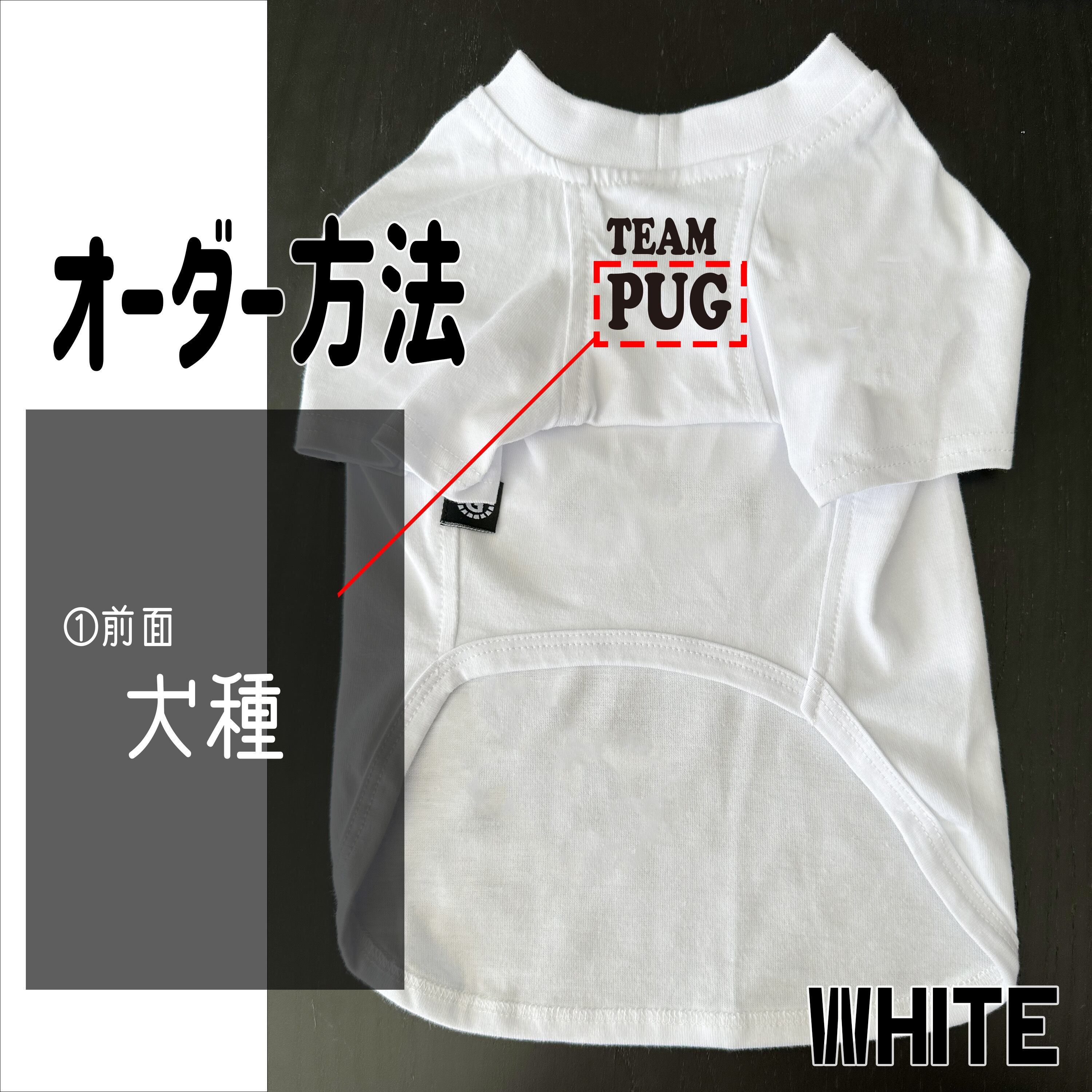 【前面】チーム名（犬種など）