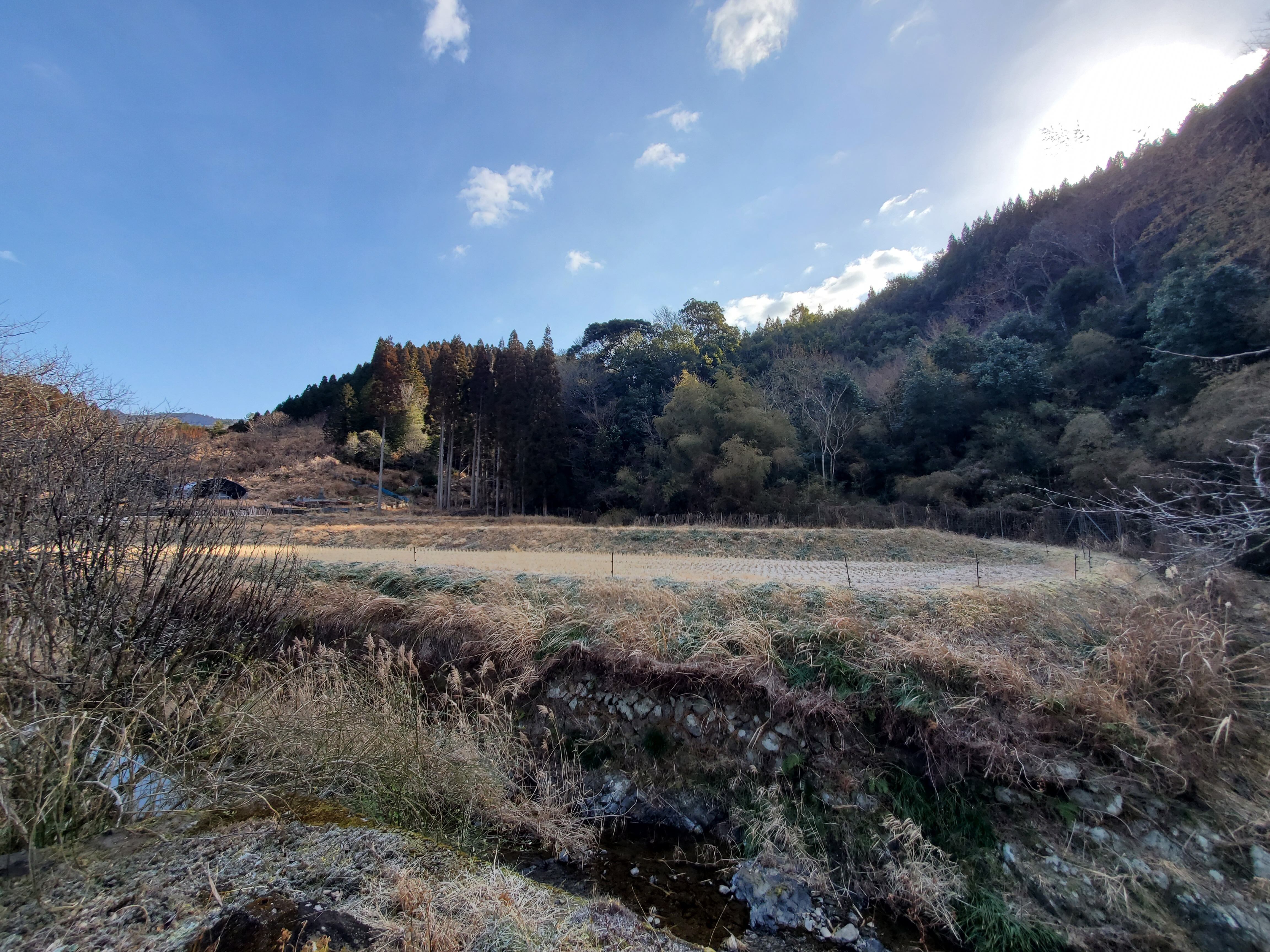 佐伯市宇目という山里で育てています