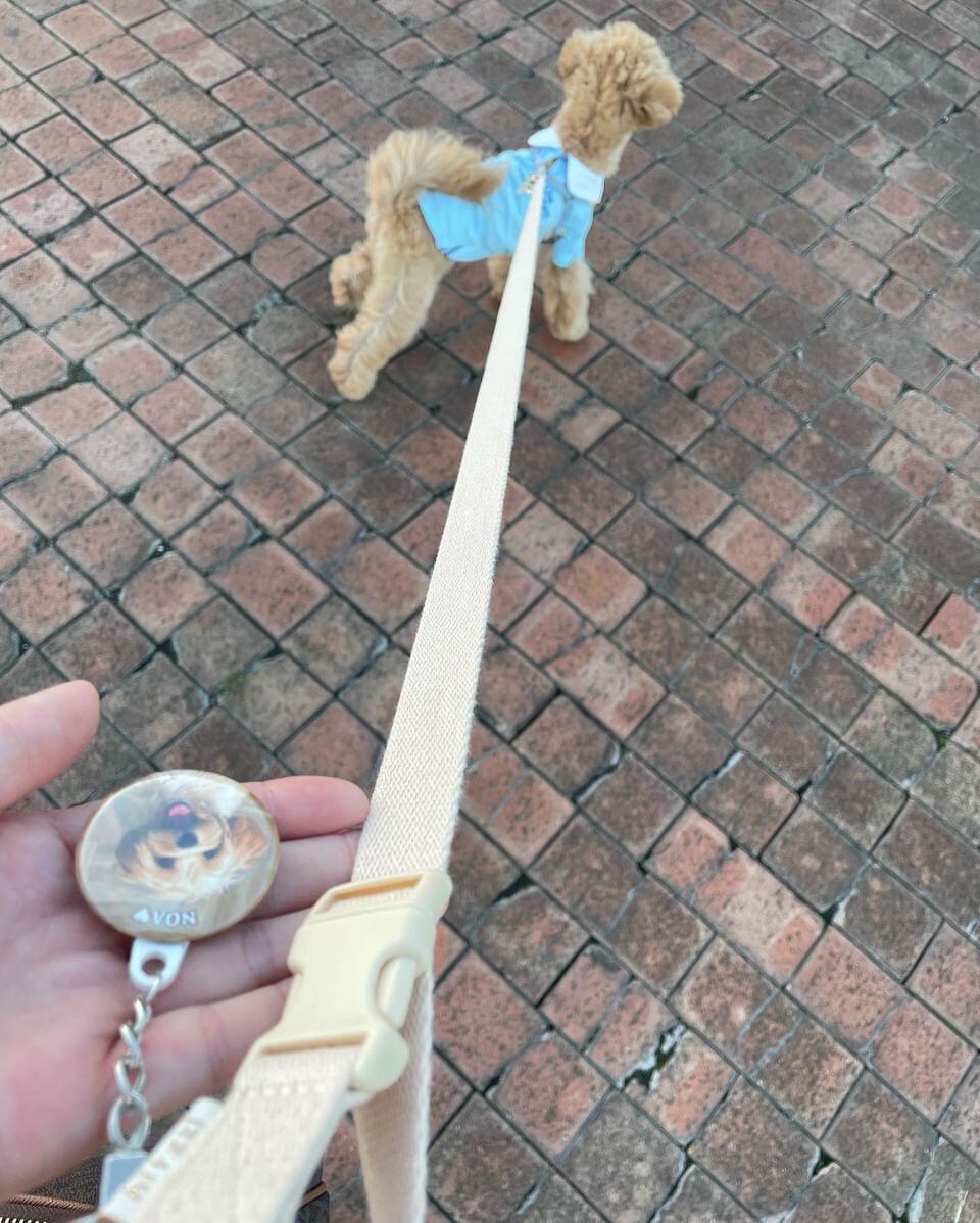 ✨ノアちゃん・20/3M