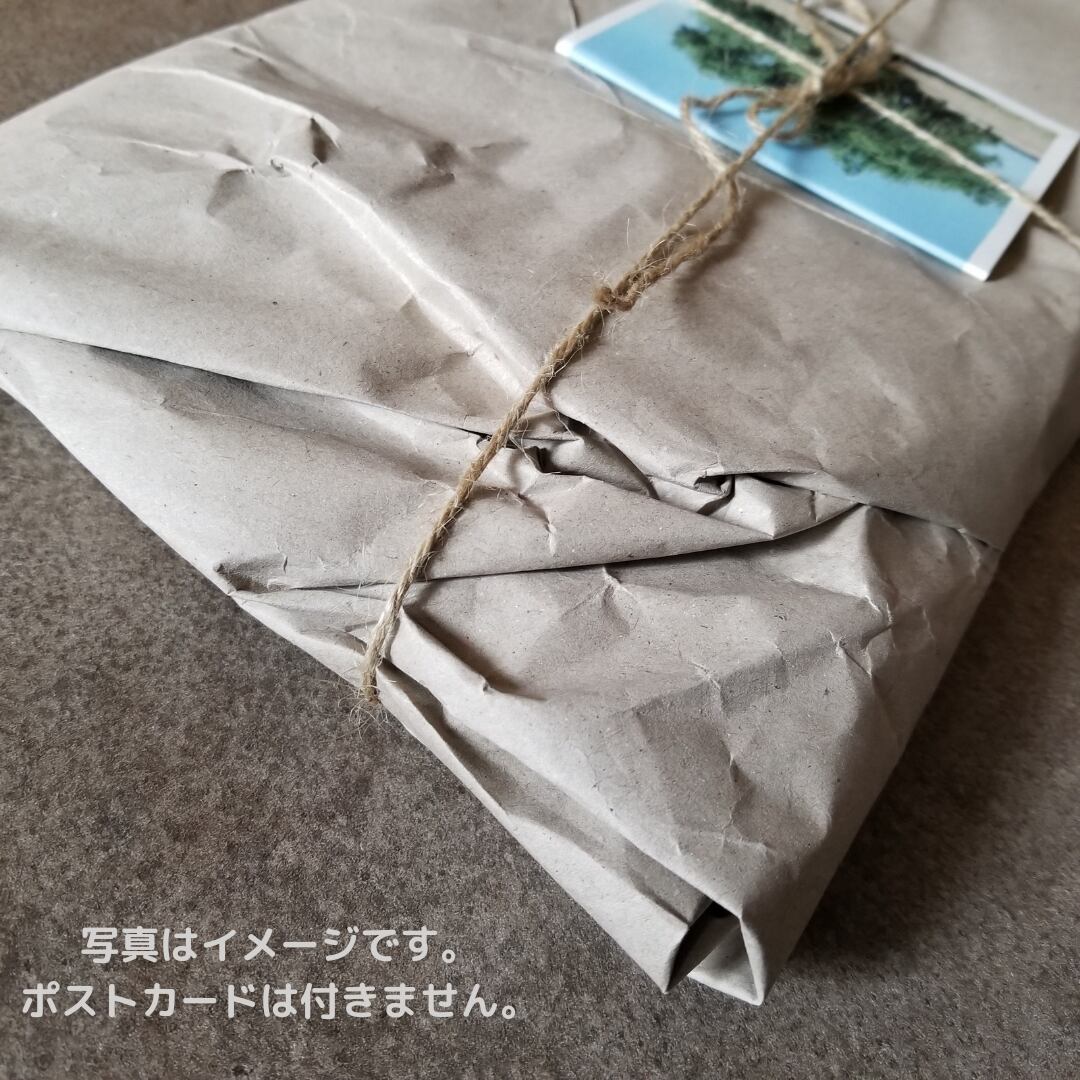 発送の際は段ボールでお包みします。