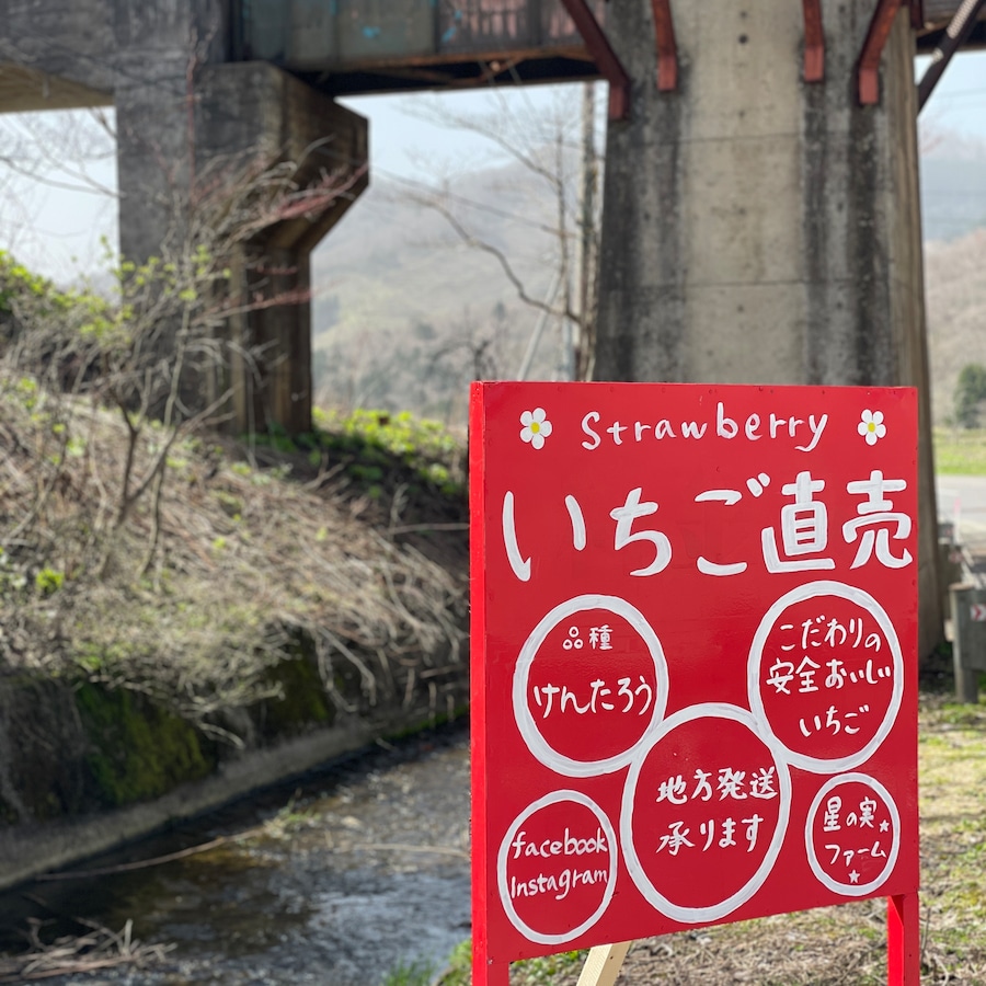 豊浦町礼文華でいちごの直売もしています🍓