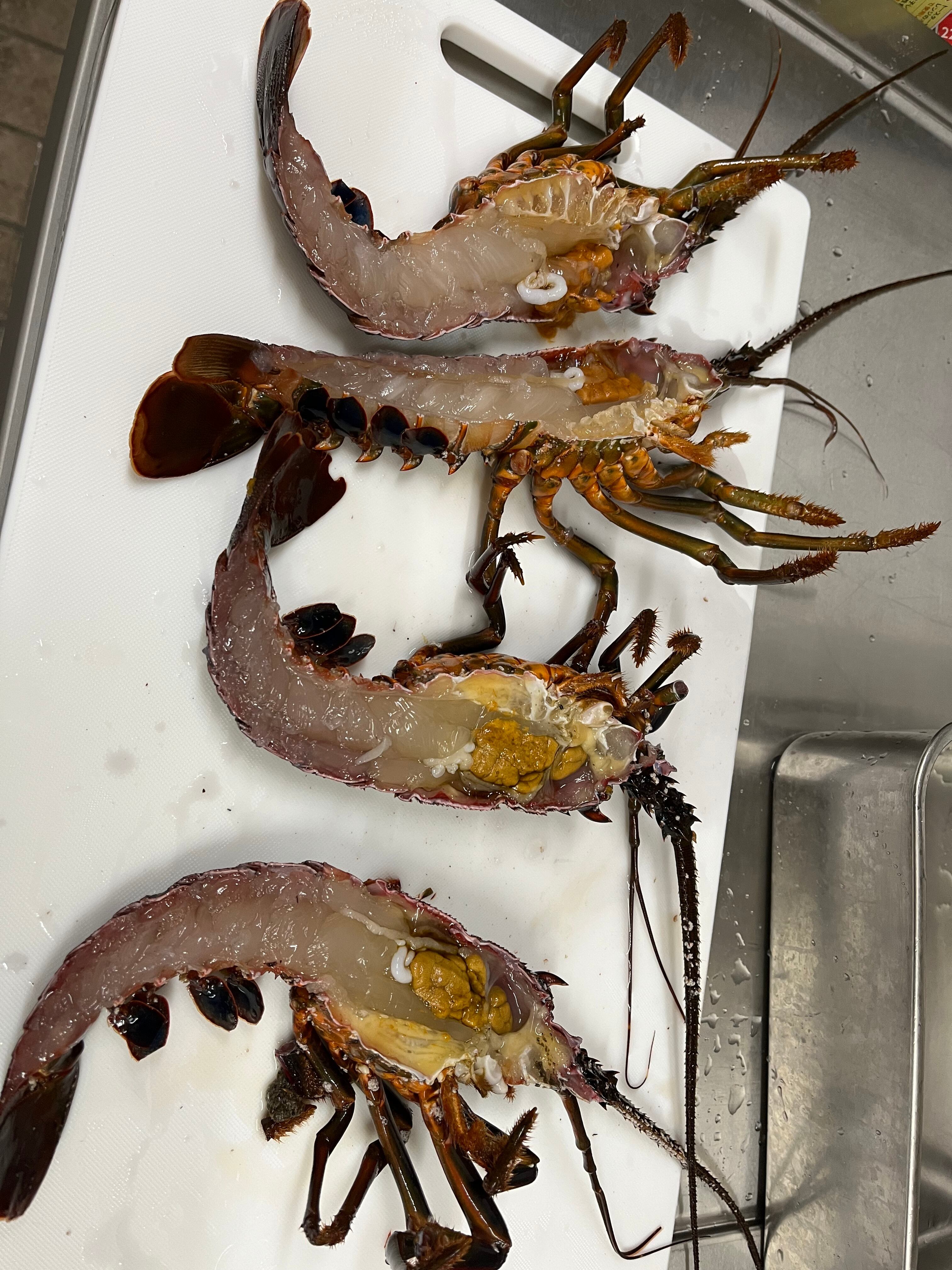 活きたまま半身にして