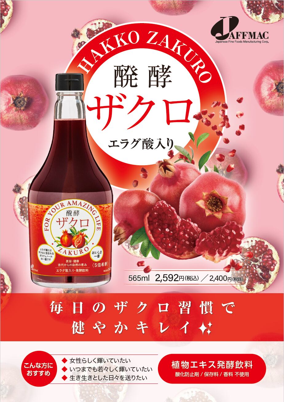 ジャフマック 醗酵生姜 565ml 12本 発酵飲料