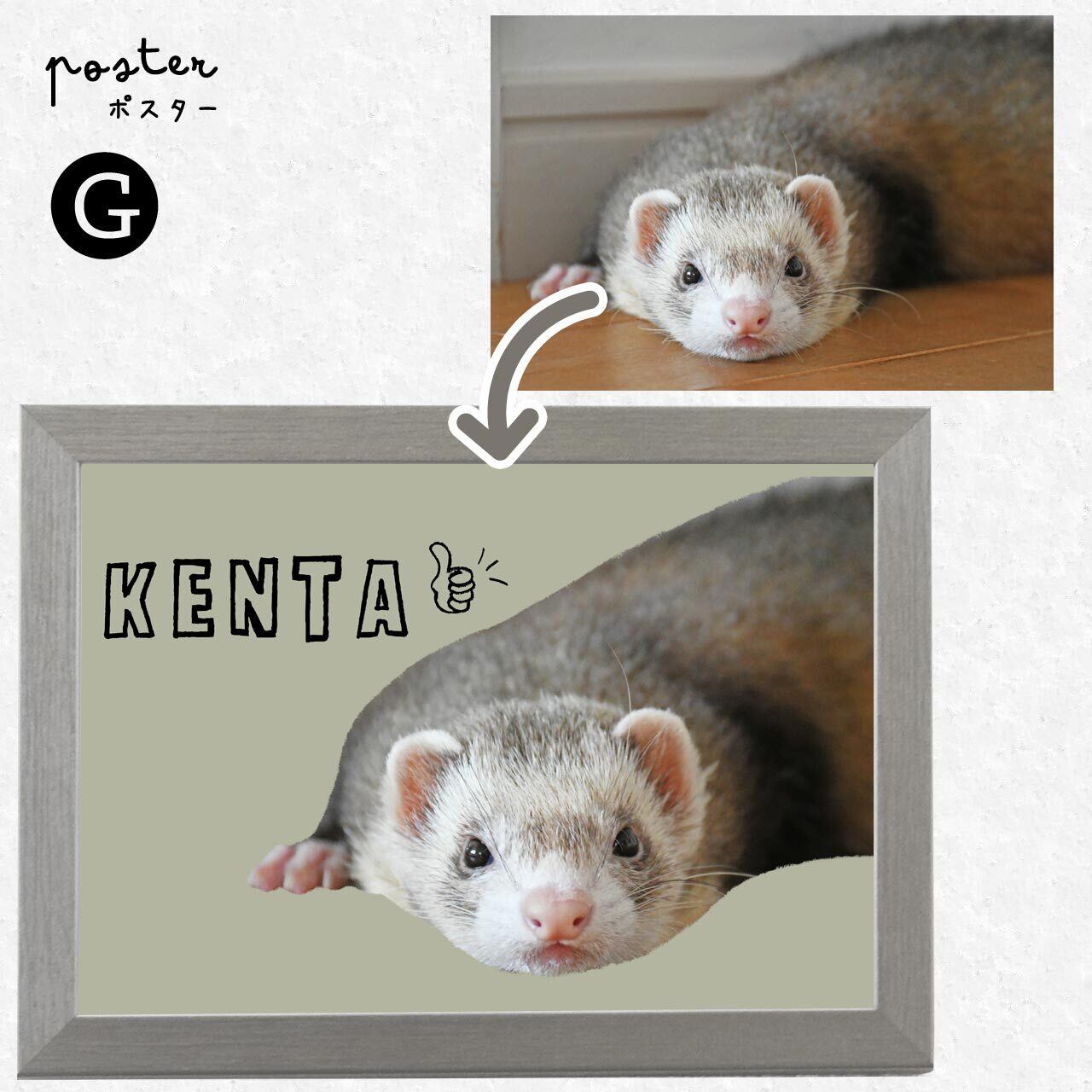 🅖 手書き文字Ver. (ｱﾙﾌｧﾍﾞｯﾄ)