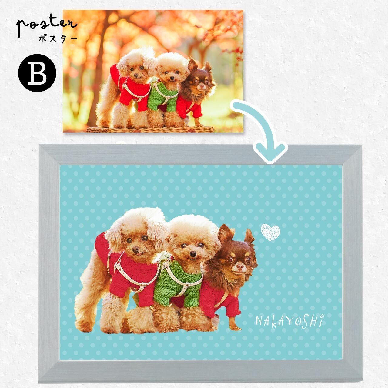 🅑 模様Ver.（水玉／ドット）