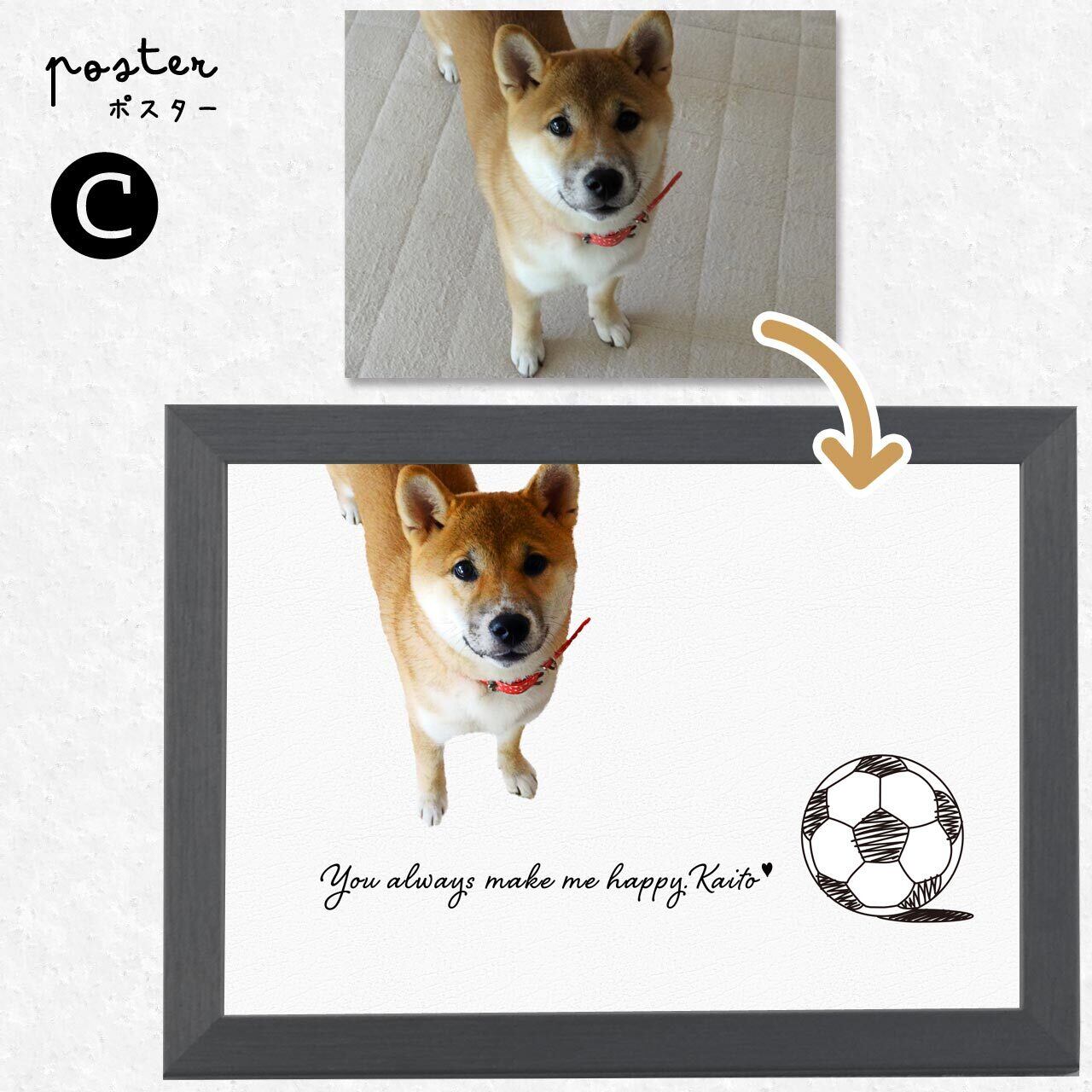 🅒 シンプルVer.