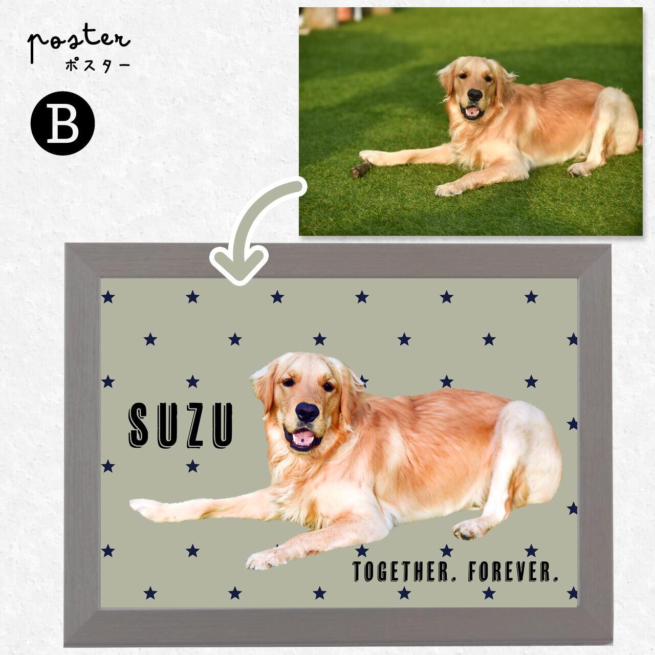 🅑 模様Ver.（星柄）