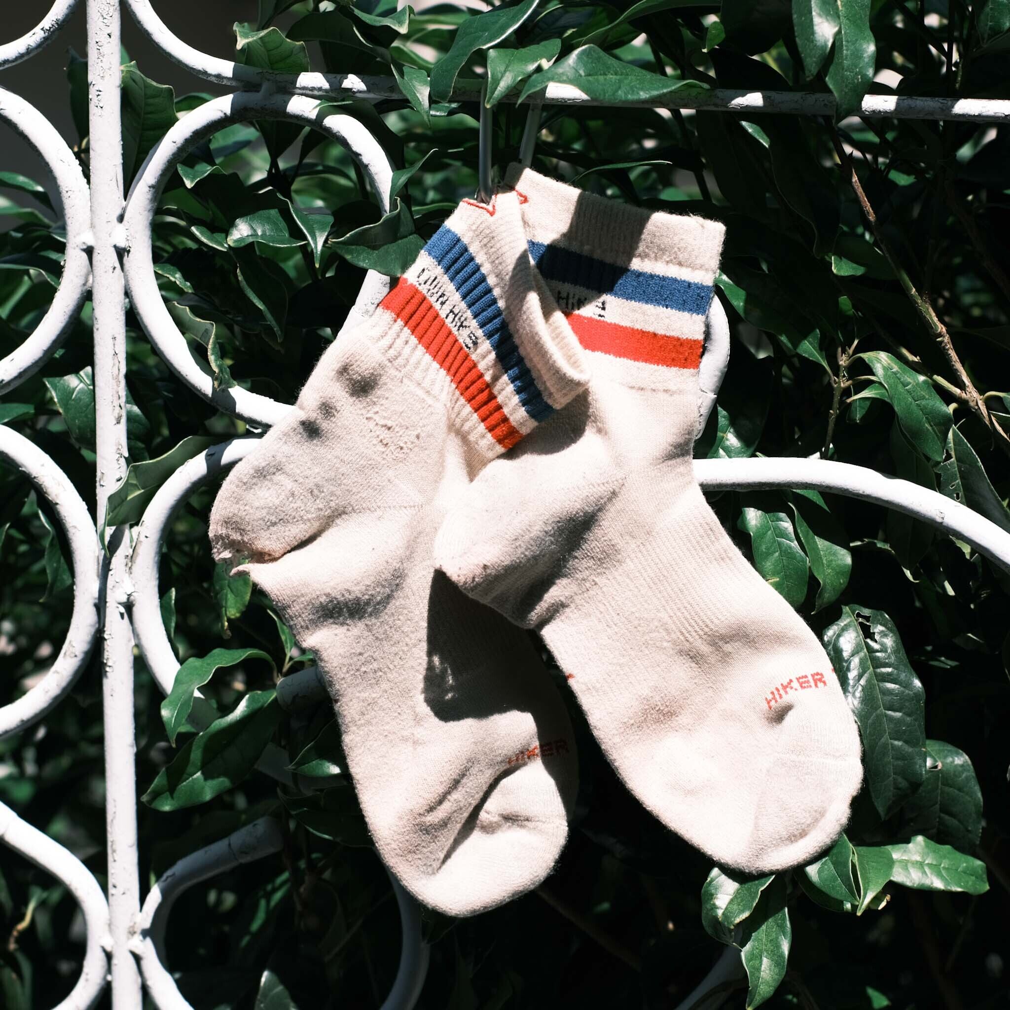 イワシくんがアメリカのロングトレイル、アリゾナトレイルを歩いた時に履いていた靴下