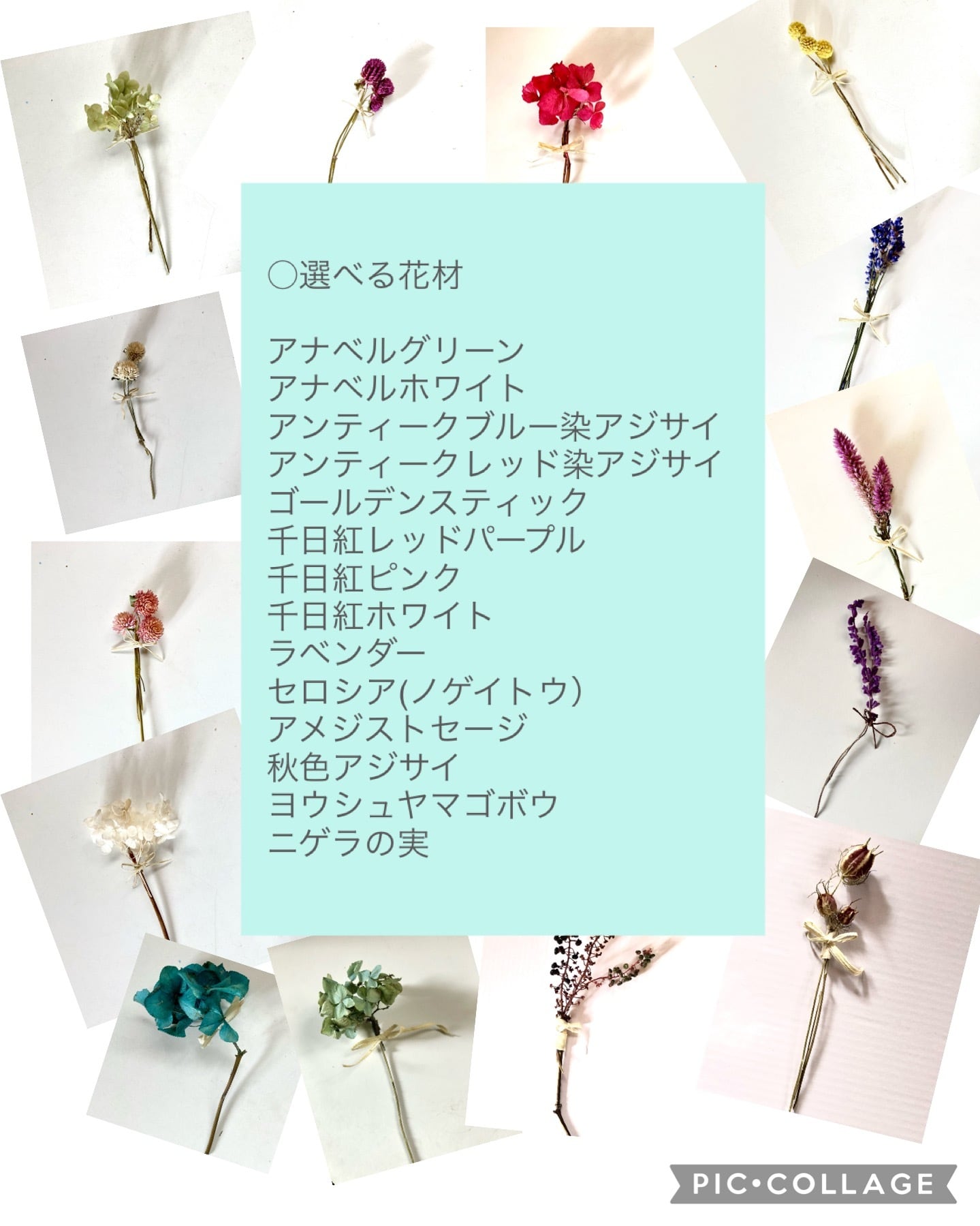 桐の実つき小枝 & サンキャッチャー（miimii jewel コラボ商品