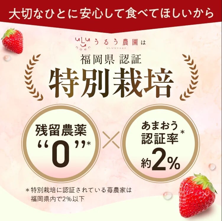 安心の農場指定!100%あまおういちご(苺/イチゴ)/冷凍　MeatPlus