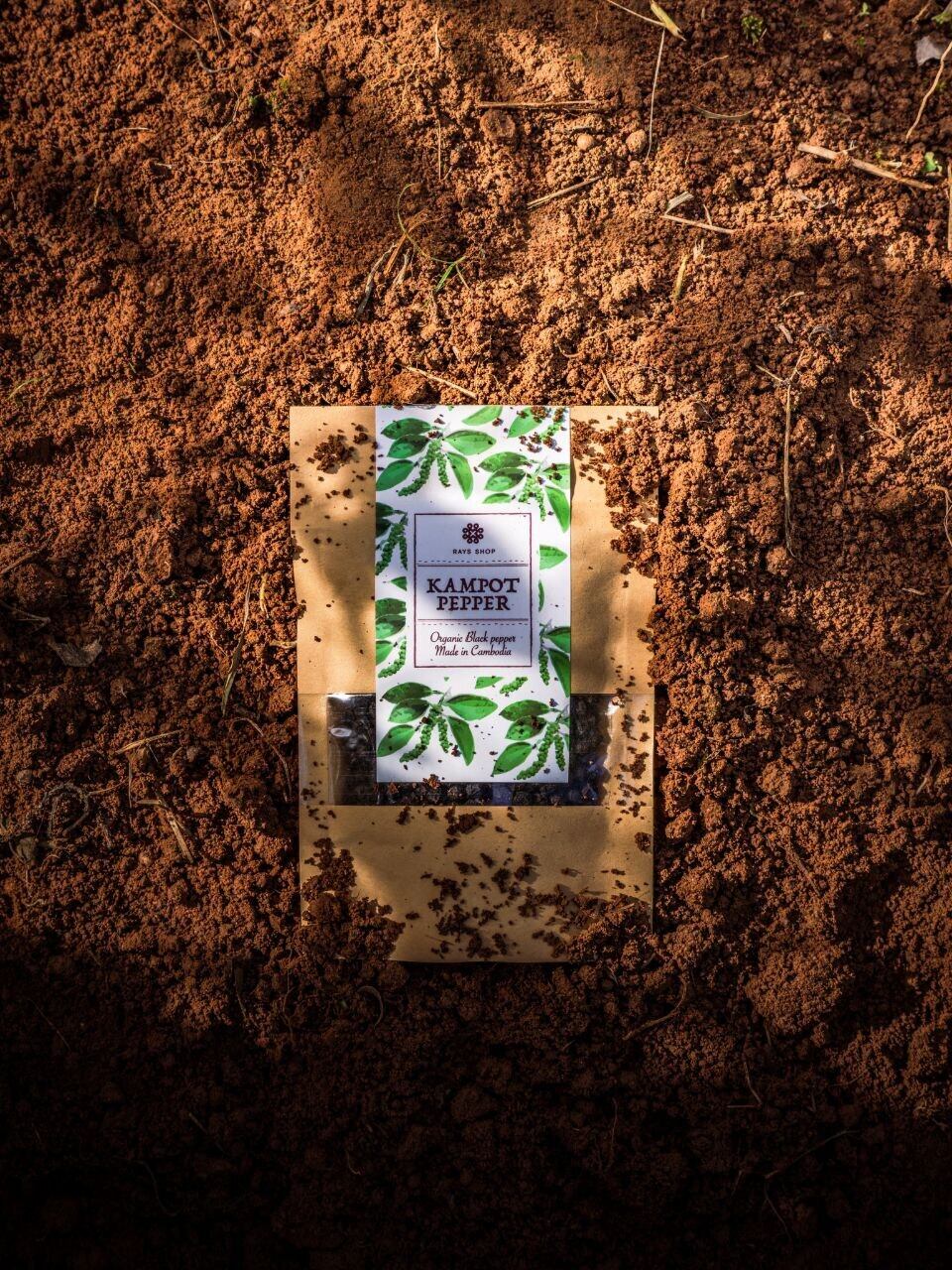 完全無農薬栽培で作る黒胡椒