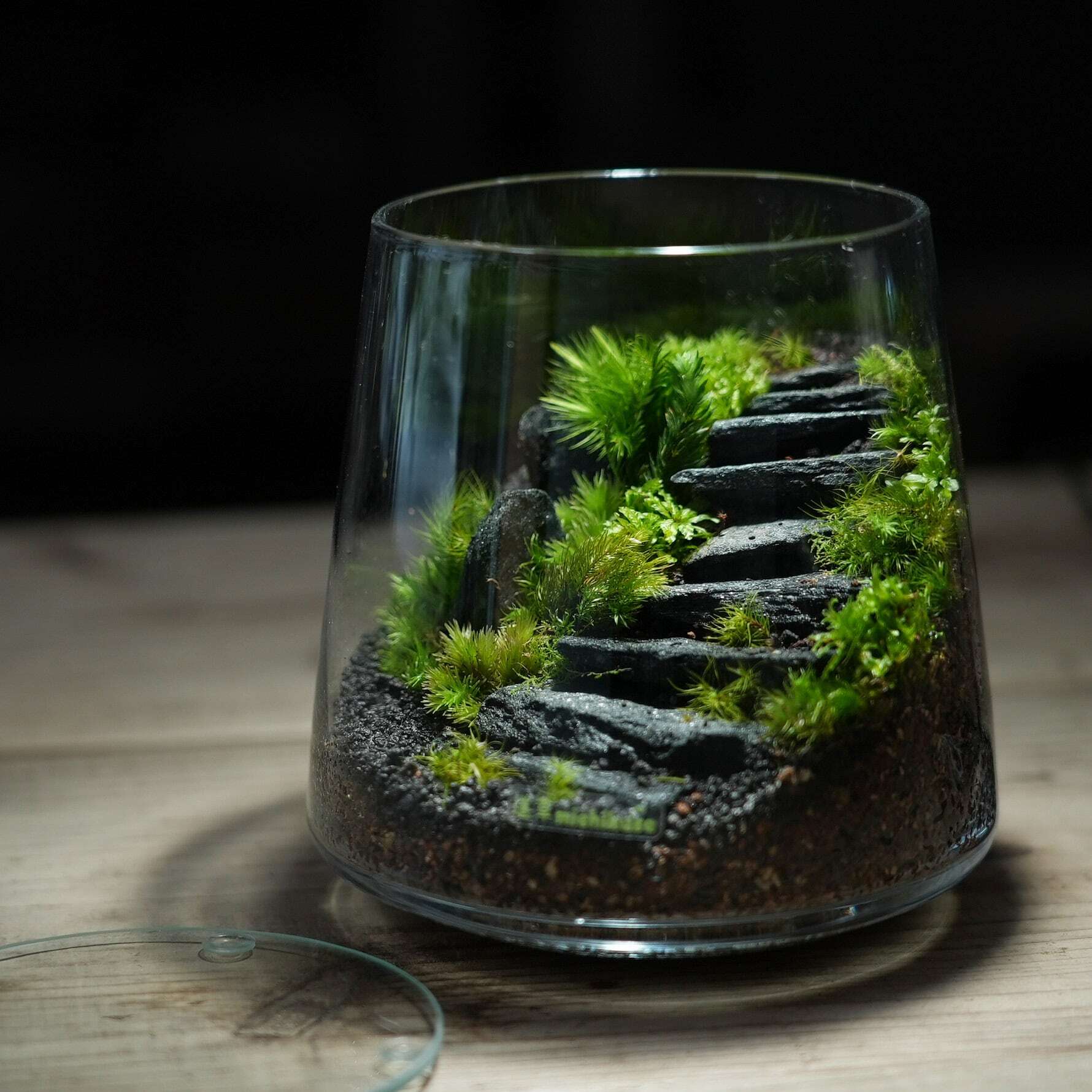 黒斧石 200g入り【レイアウト用・石段作りに】 | 苔テラリウム専門