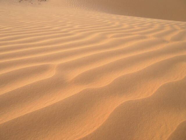 朝日に染まる風紋の景色