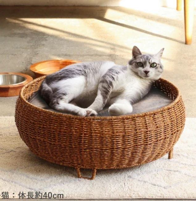 大きな猫さんもゆったりの広さ