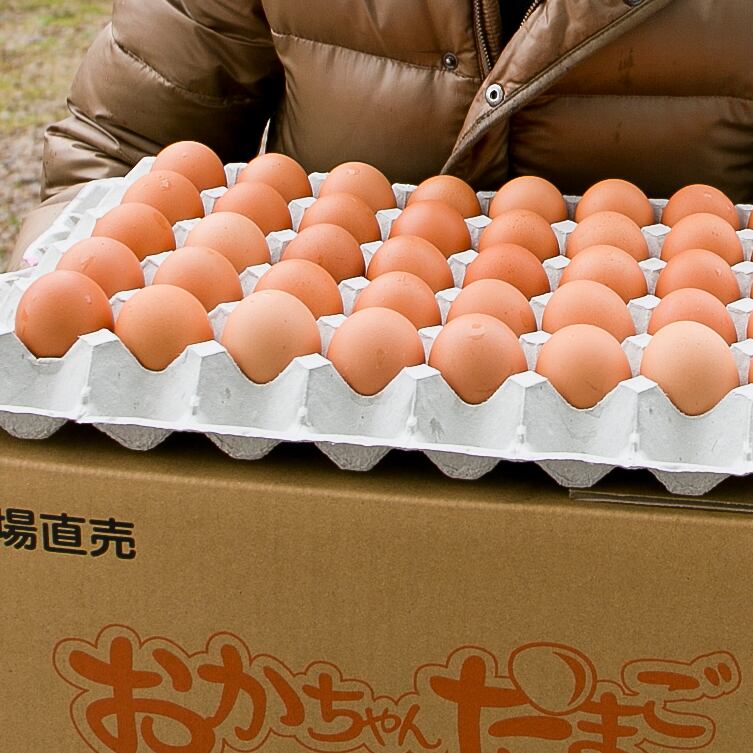 豊岡で知らない人はいない！？地元養鶏場の新鮮な卵を使用しています