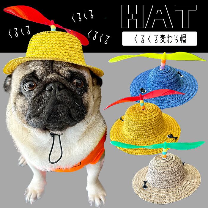帽子】くるくる プロぺラ 麦わら帽子 黒ゴム紐 | G-snap
