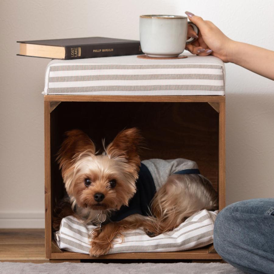 ストライプ　デザインA