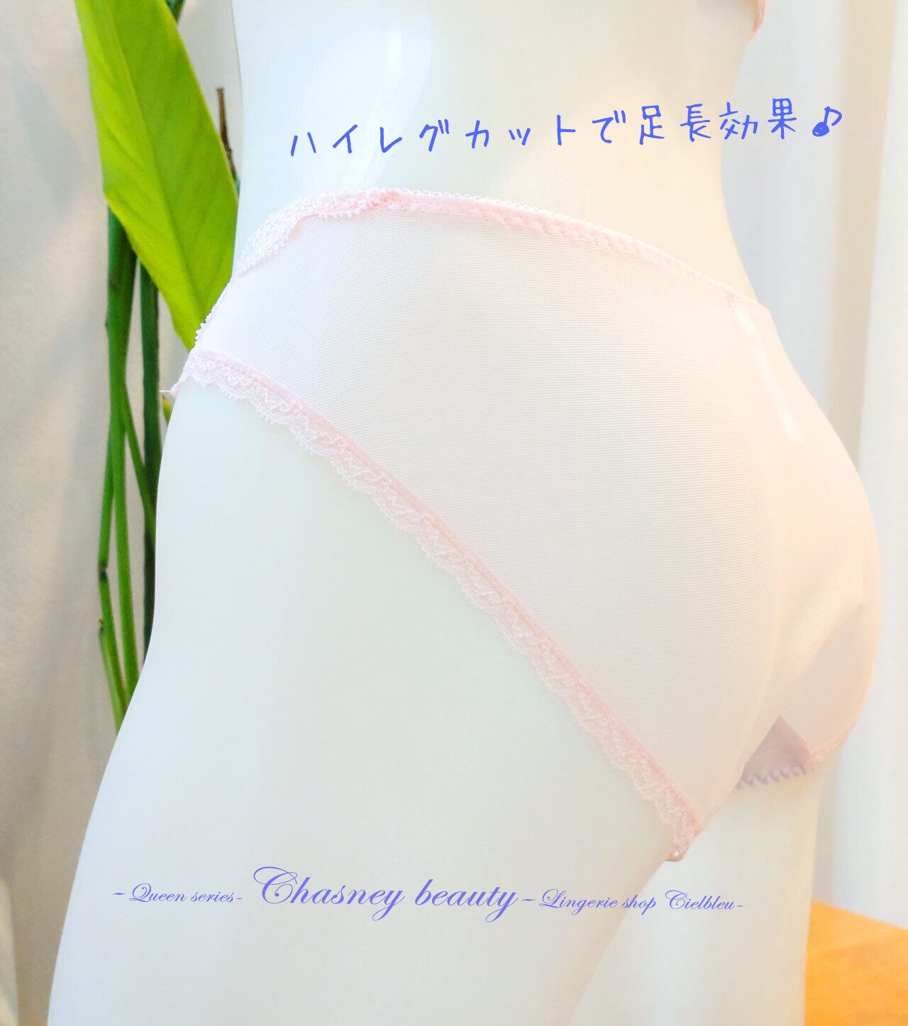 美しいハイレグカット