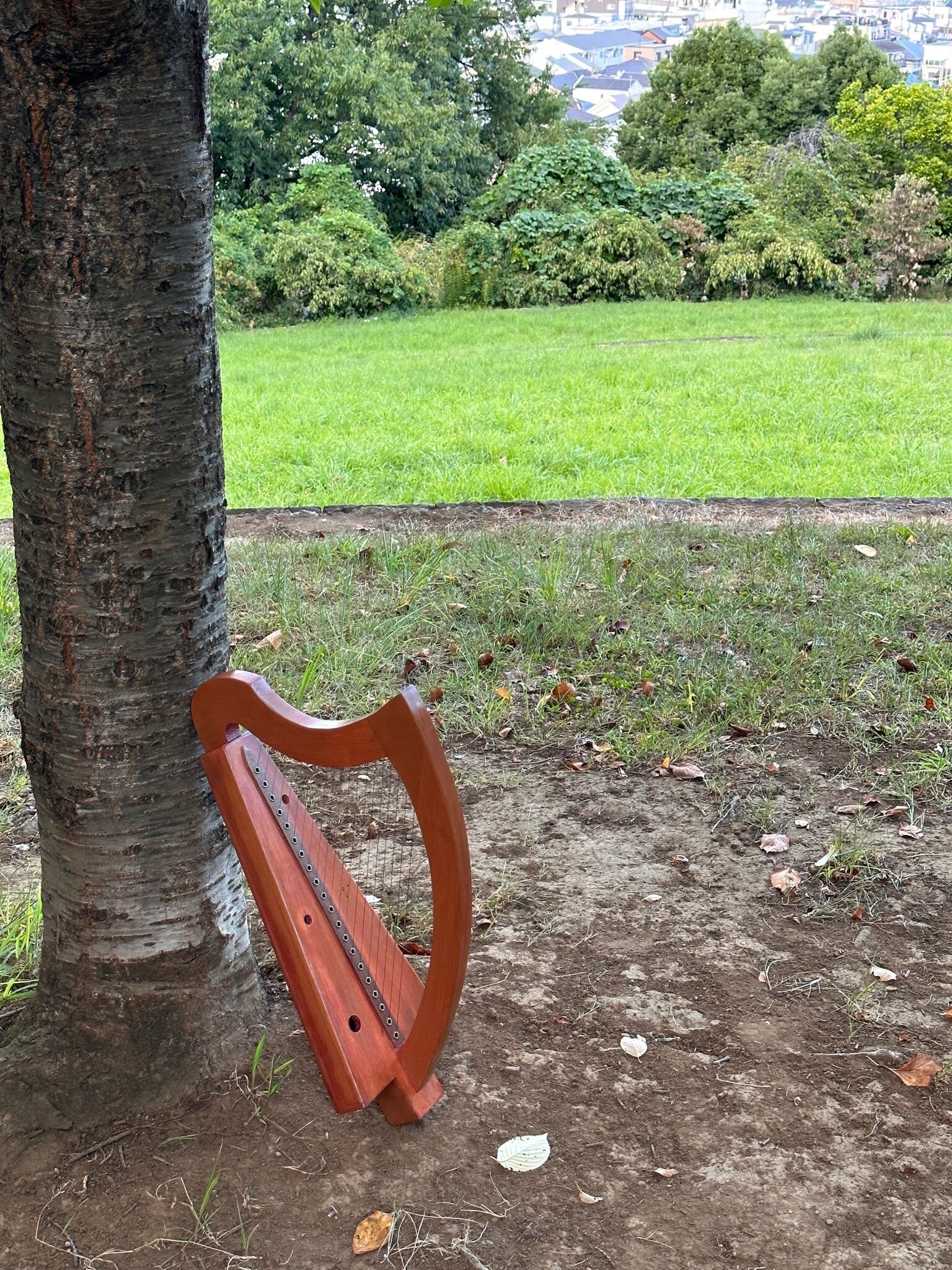 教室で最もよく使われているモデル