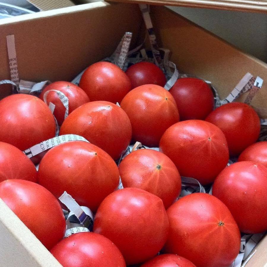千葉県産完熟トマト