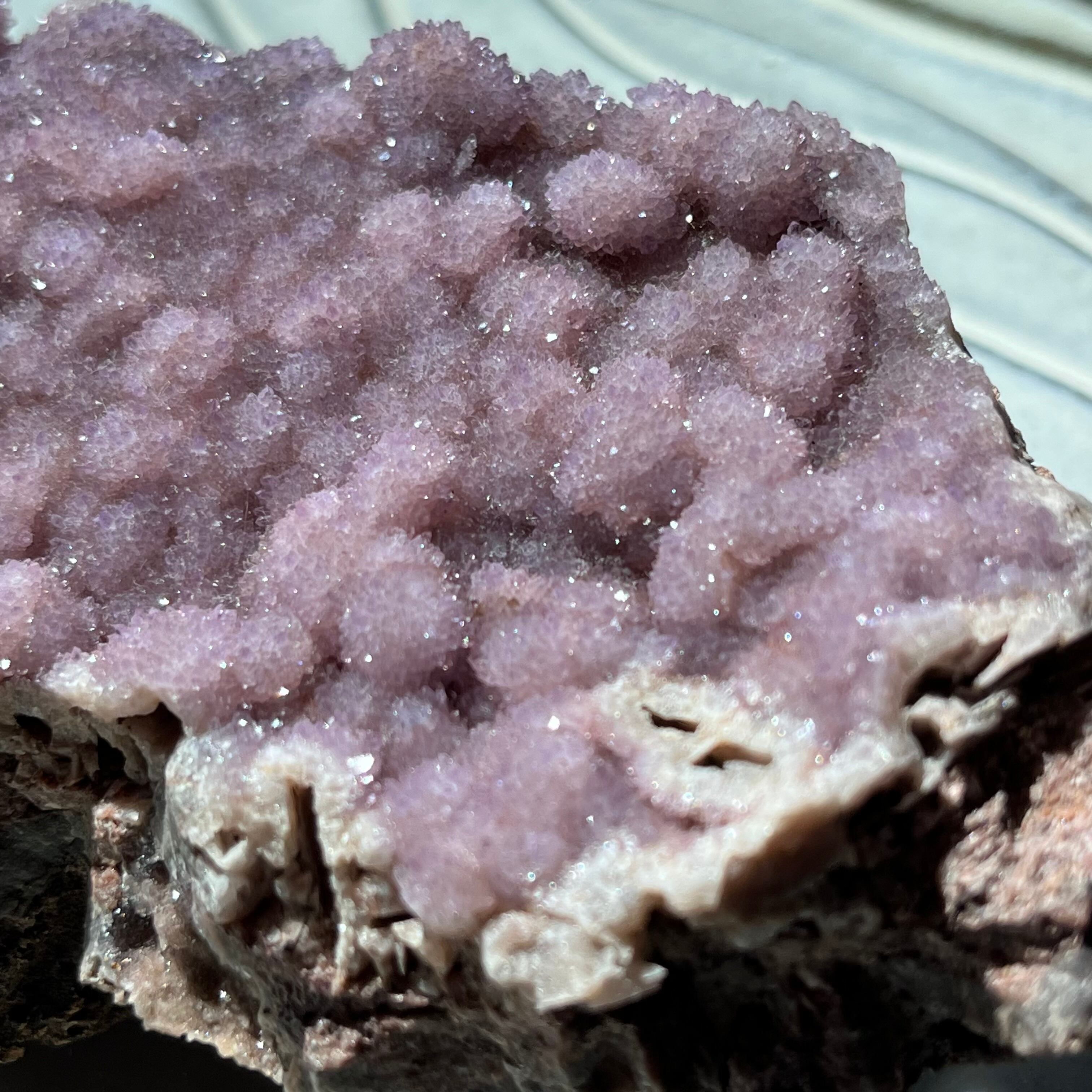 モコモコ感はアラカムアメジストの特徴です