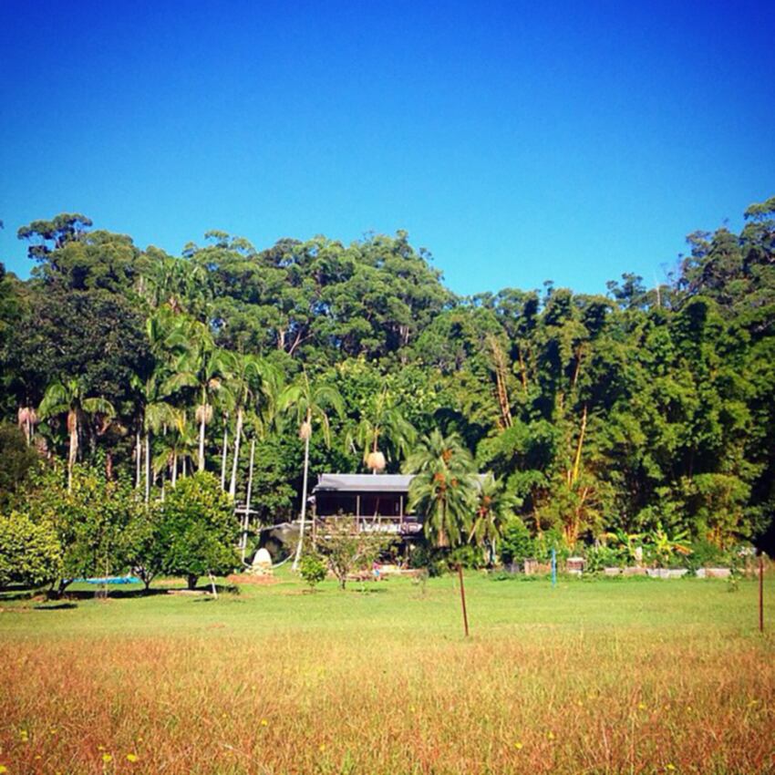 デヴァイン一家の住む敷地
